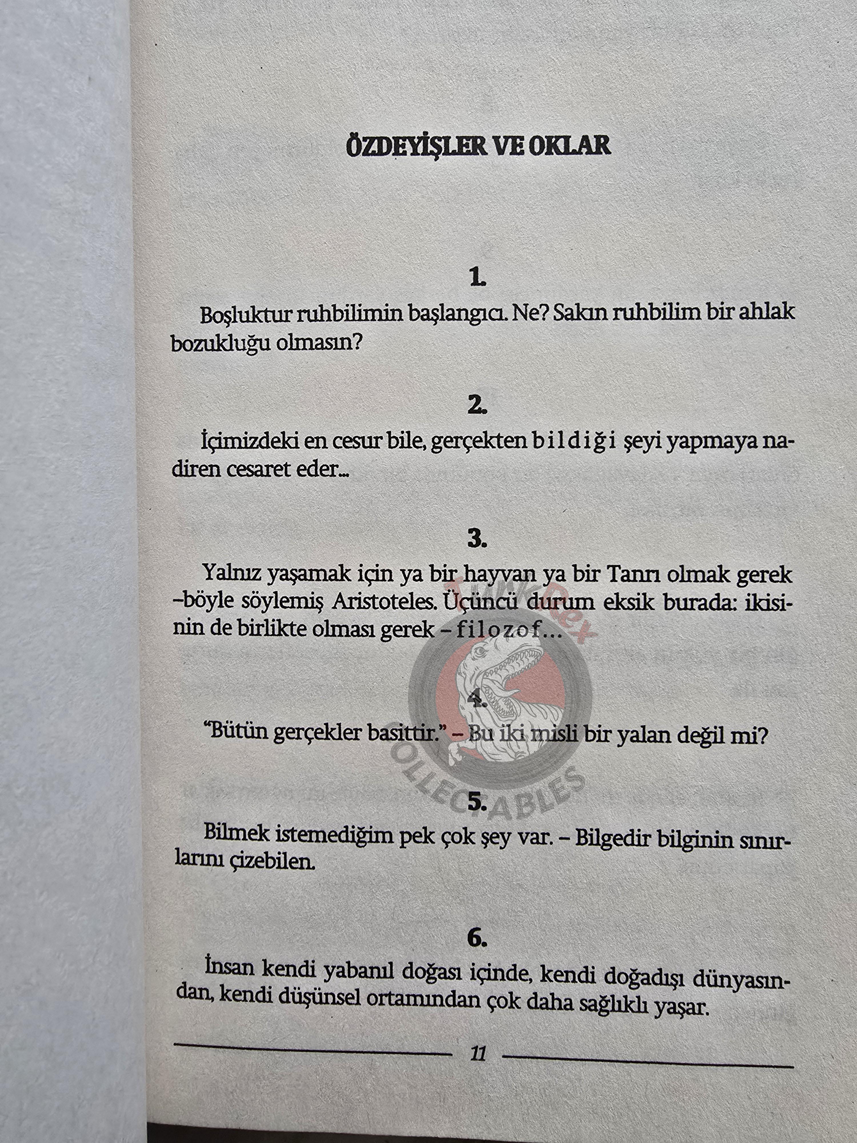 Friedrich Nietzsche – Twilight of the Idols 2009 Turkish Book Turkey