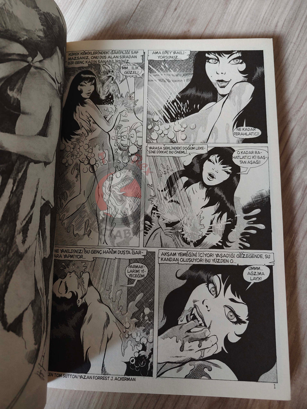 Vampirella Crimson Chronicles #1 2010 Turkish Comic Turkey Frank Frazetta