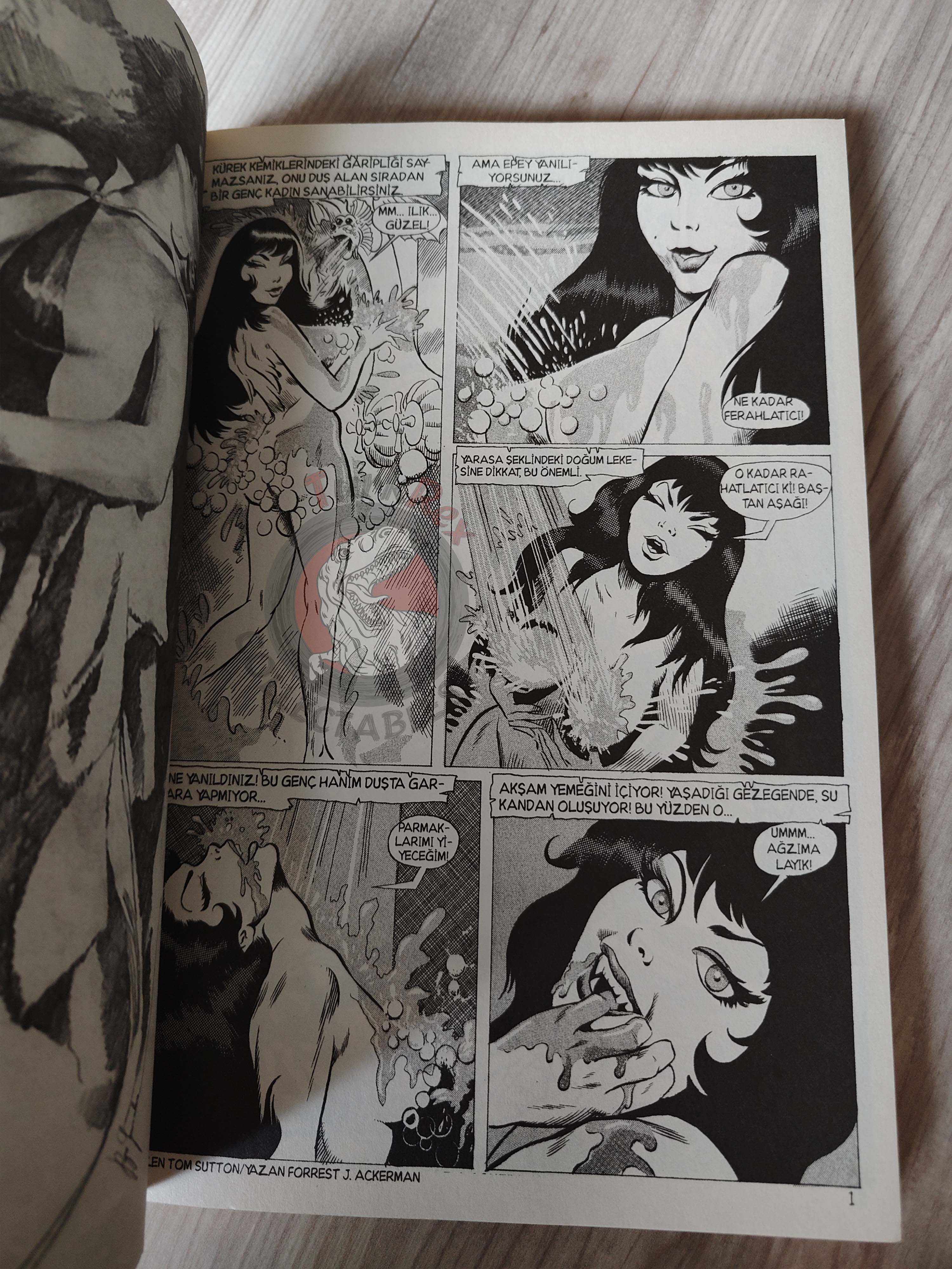 Vampirella Crimson Chronicles #1 2010 Turkish Comic Turkey Frank Frazetta