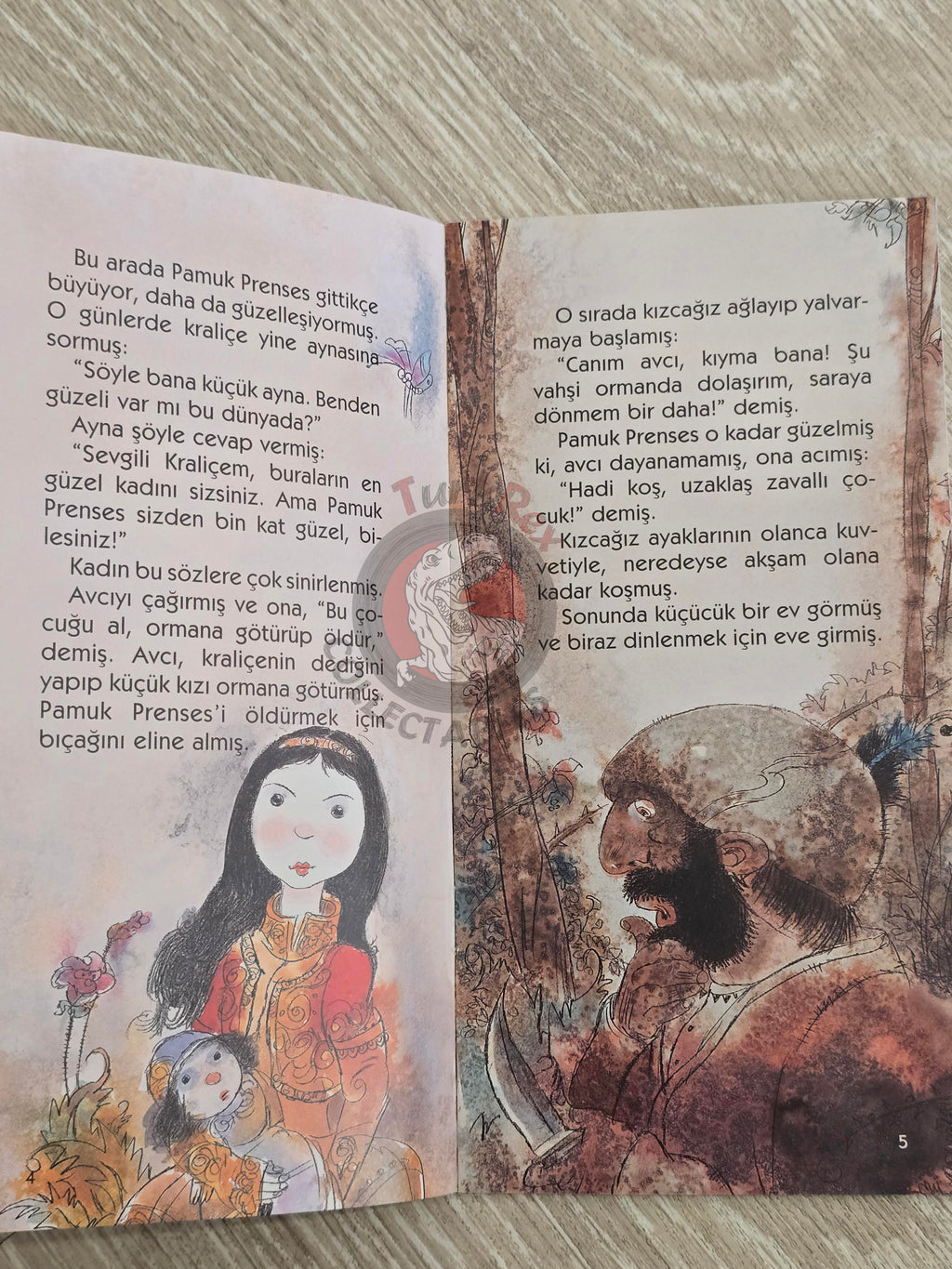 Grimm Brothers – Snow White and the Seven Dwarfs 2011 Turkish Book Turkey Illustrated 2