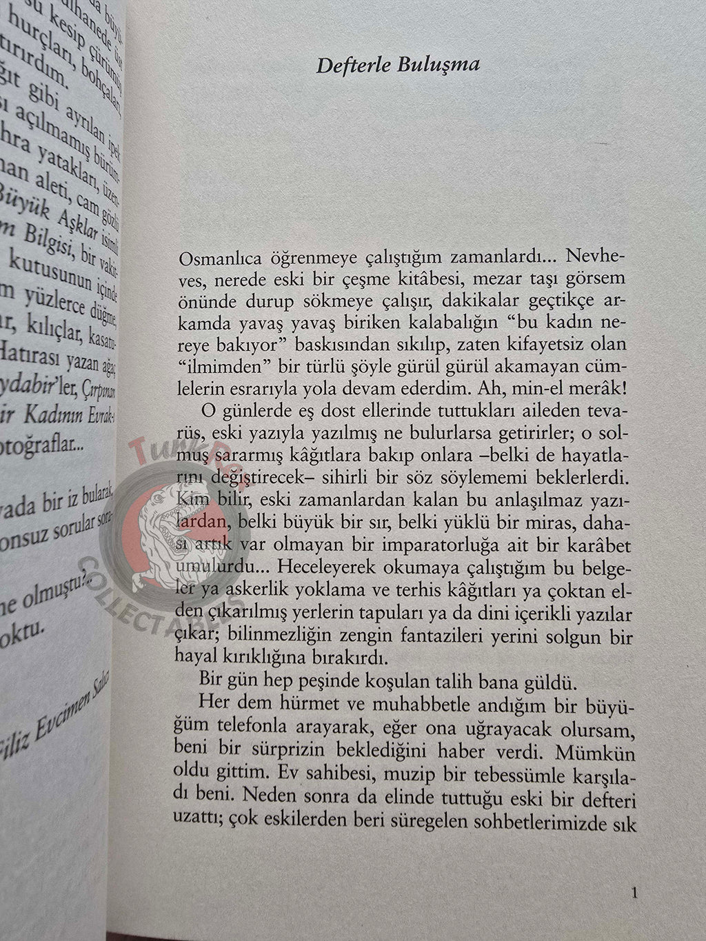 The Only Female Defendant of the 1910 Secret Society Case 2016 Turkish Book Turkey