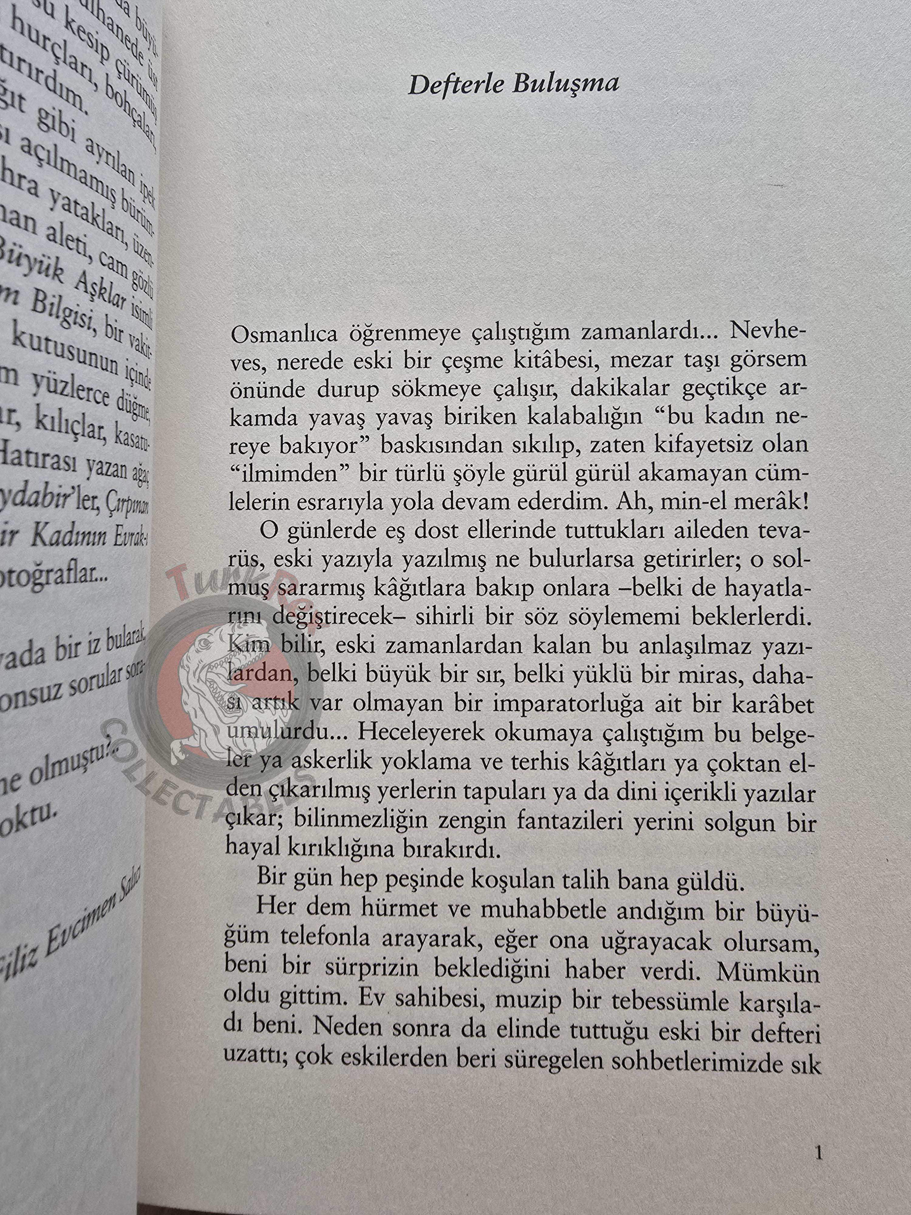 The Only Female Defendant of the 1910 Secret Society Case 2016 Turkish Book Turkey