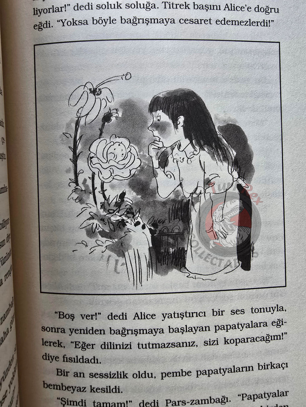 Lewis Carroll – Through the Looking-Glass 2012 Turkish Book Turkey Illustrated
