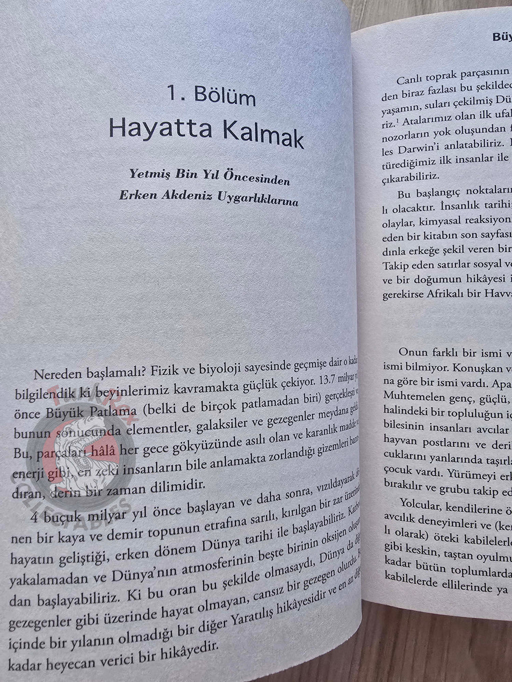 Andrew Marr – A History of the World 2018 Turkish Book Turkey