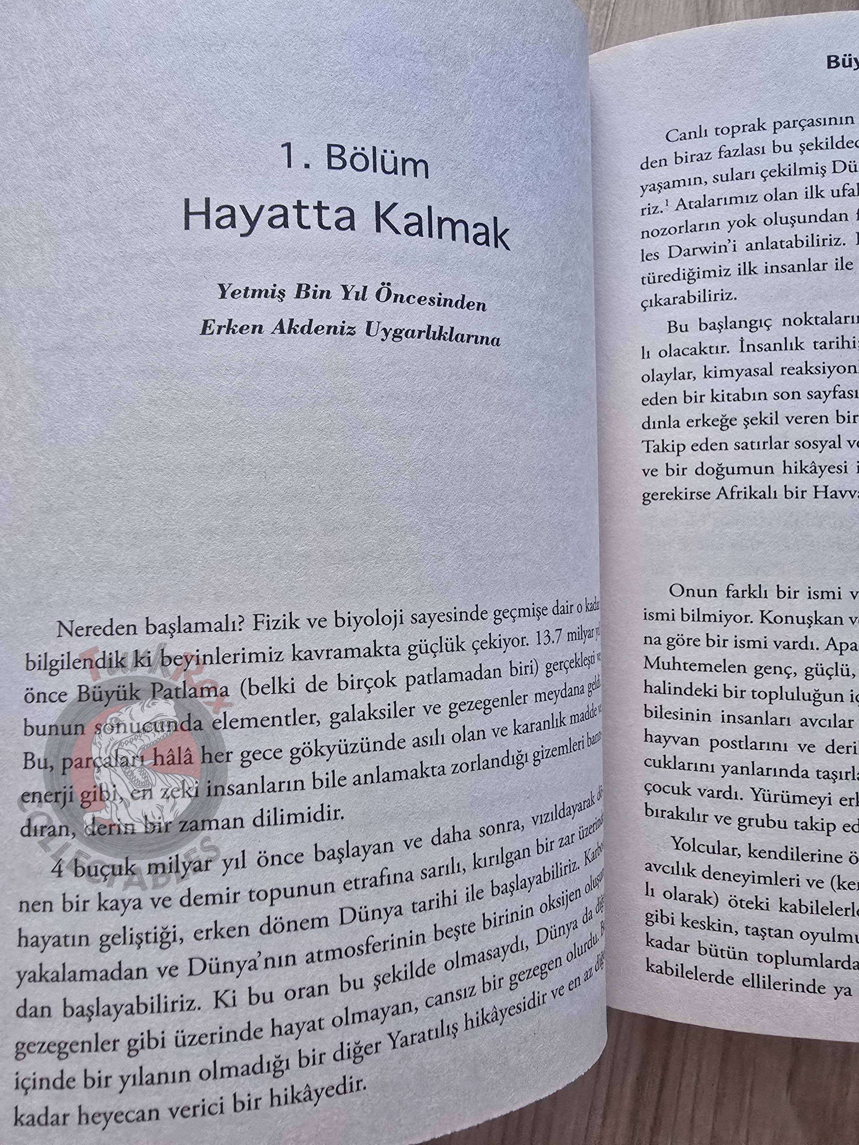 Andrew Marr – A History of the World 2018 Turkish Book Turkey