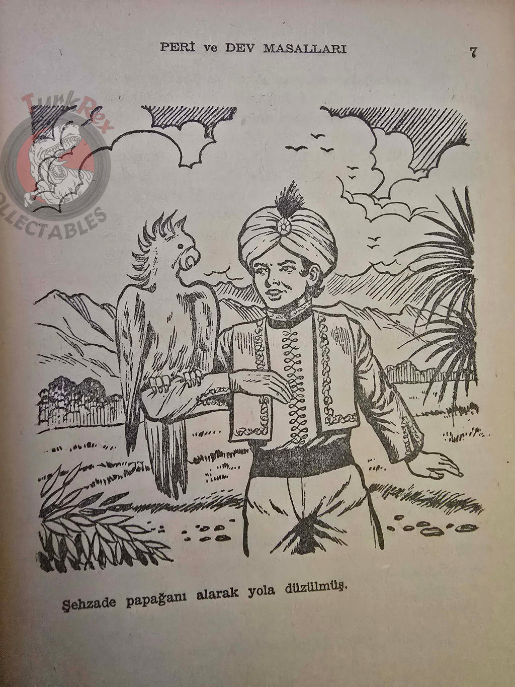Enver Benhan Şapolyo – Fairy and Giant Tales 1966 Turkish Book Turkey Illustrated