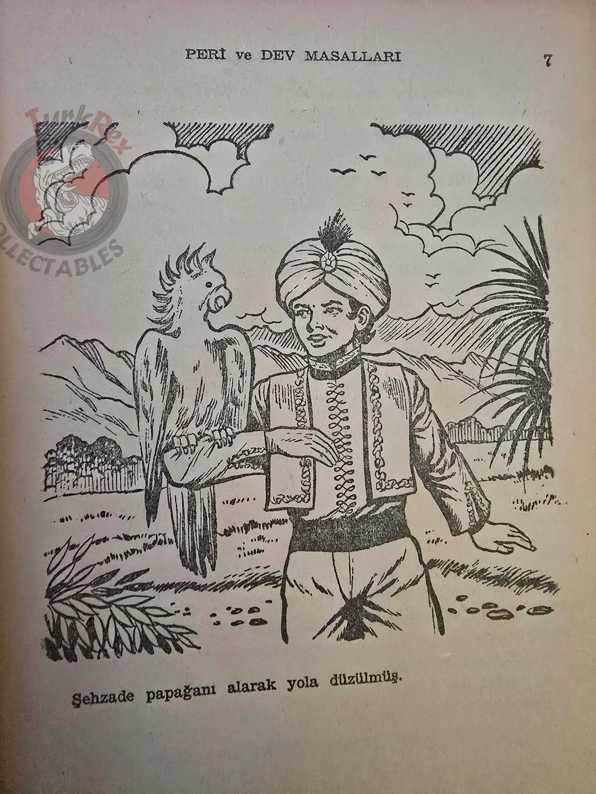 Enver Benhan Şapolyo – Fairy and Giant Tales 1966 Turkish Book Turkey Illustrated