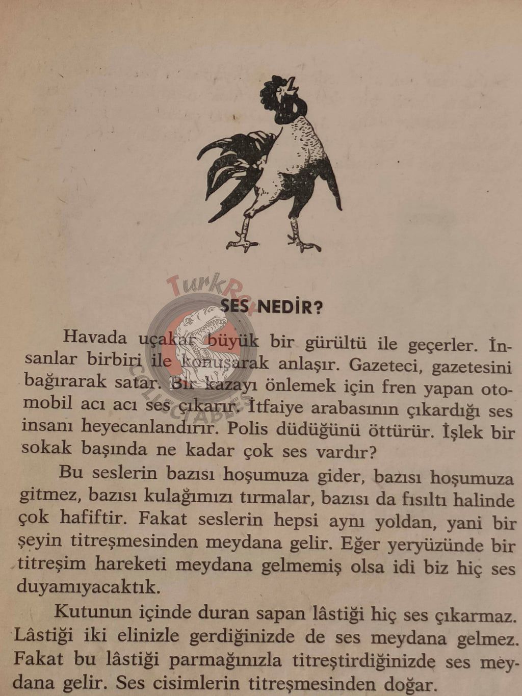 Bertha Morris Parker – Basic Science Education Series 1969 Turkish Book Turkey Sound Sun