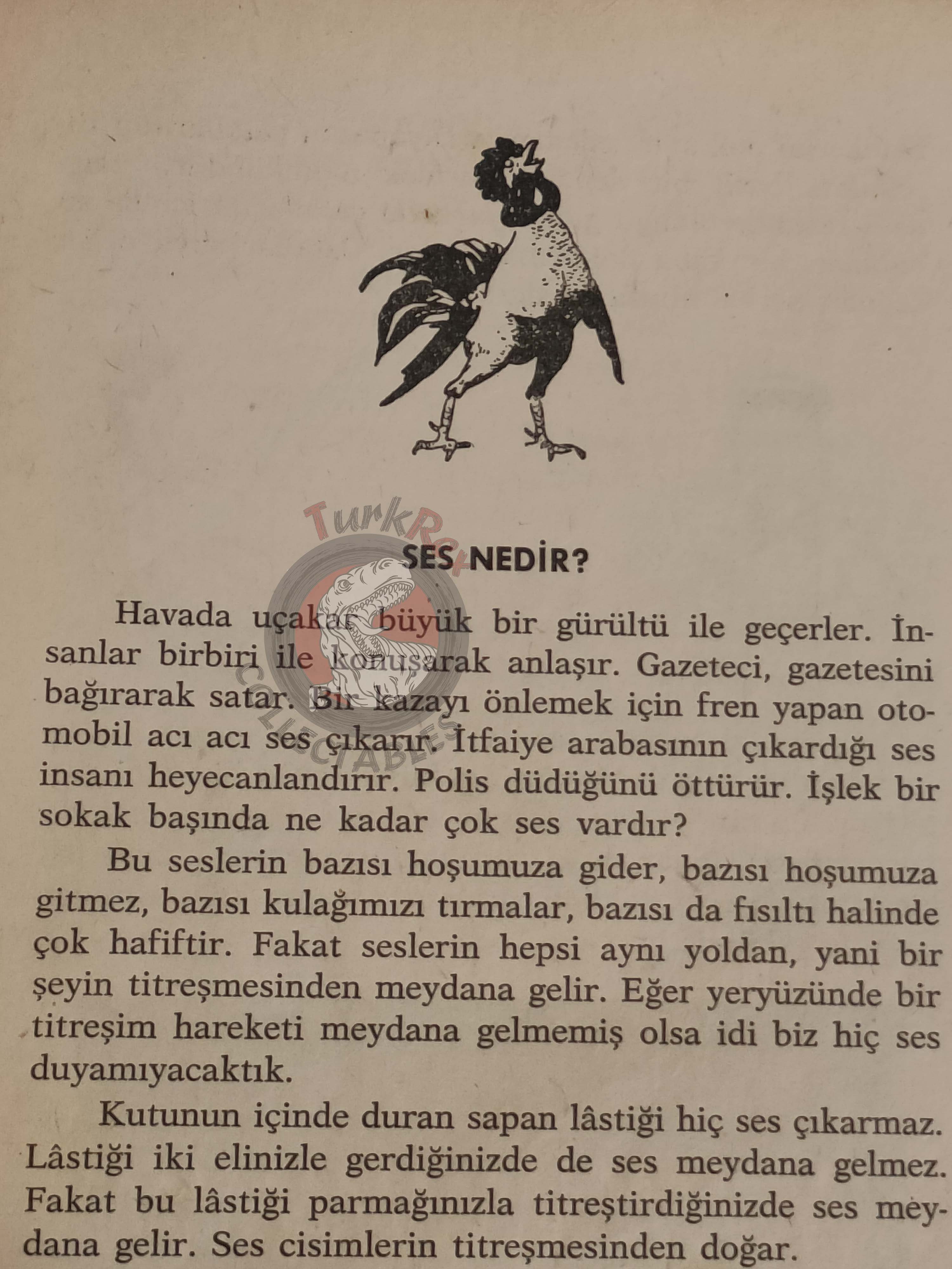 Bertha Morris Parker – Basic Science Education Series 1969 Turkish Book Turkey Sound Sun