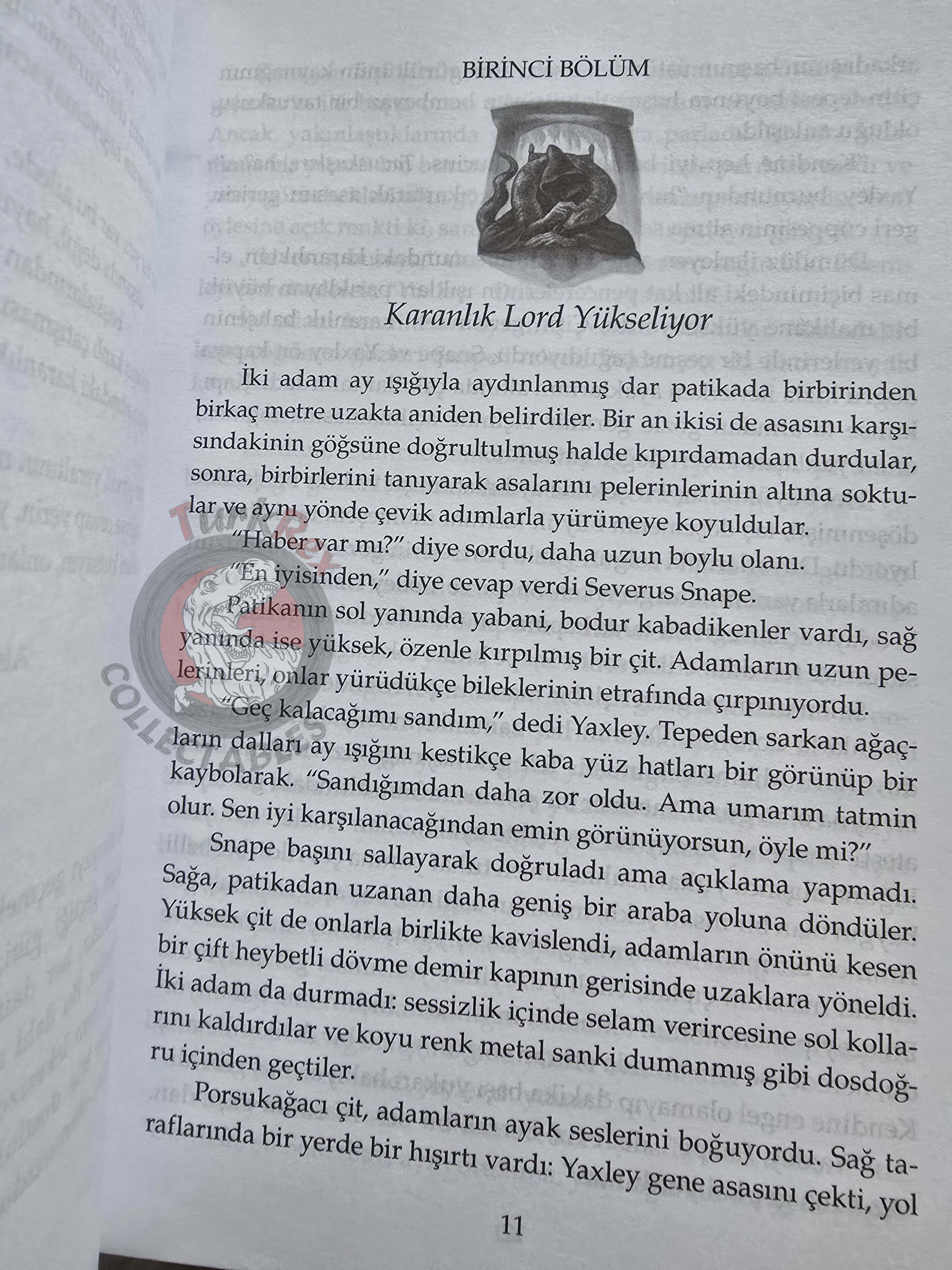 J.K. Rowling – Harry Potter and the Deathly Hallows 2007 1st Turkish Book Turkey