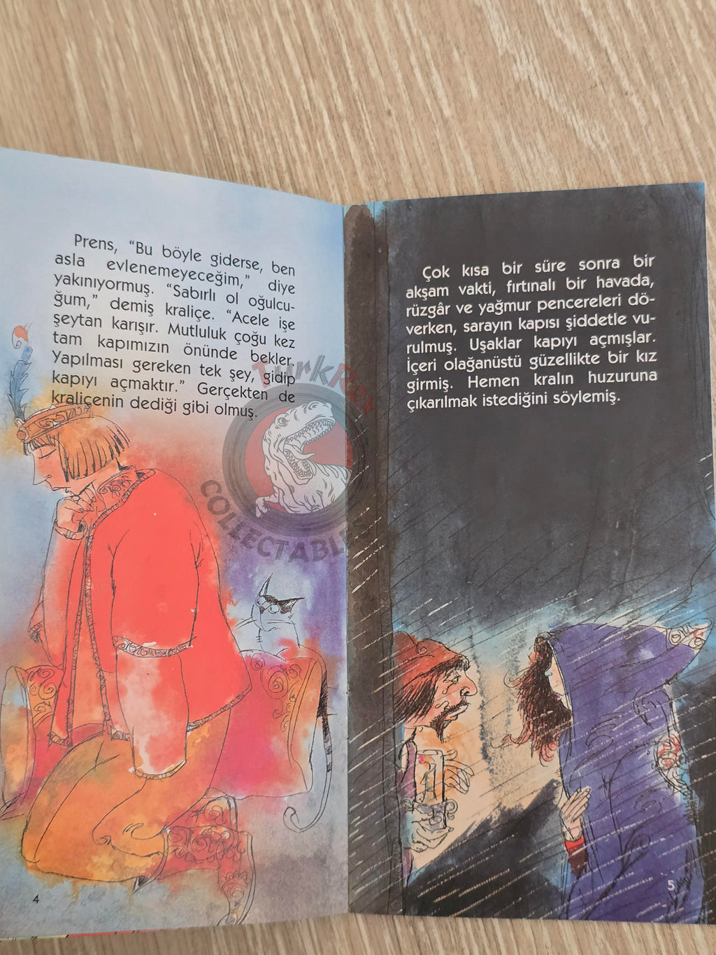 Grimm Brothers – The Princess and the Pea 2011 Turkish Book Turkey Illustrated