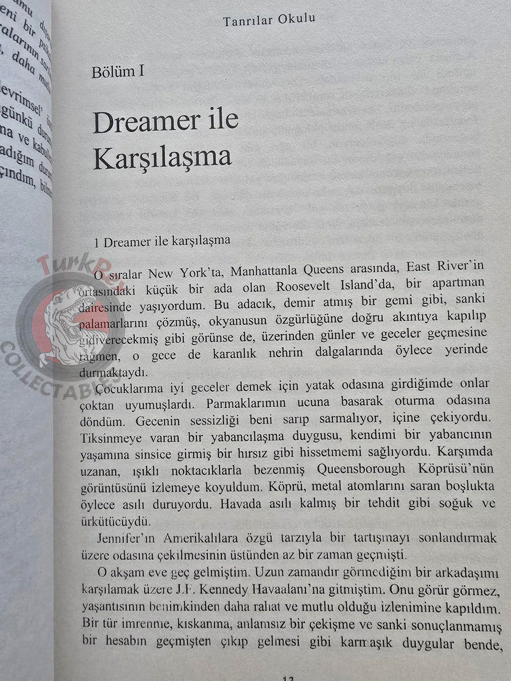 Stefano Elio D'Anna – The School for Gods 2009 Turkish Book Turkey