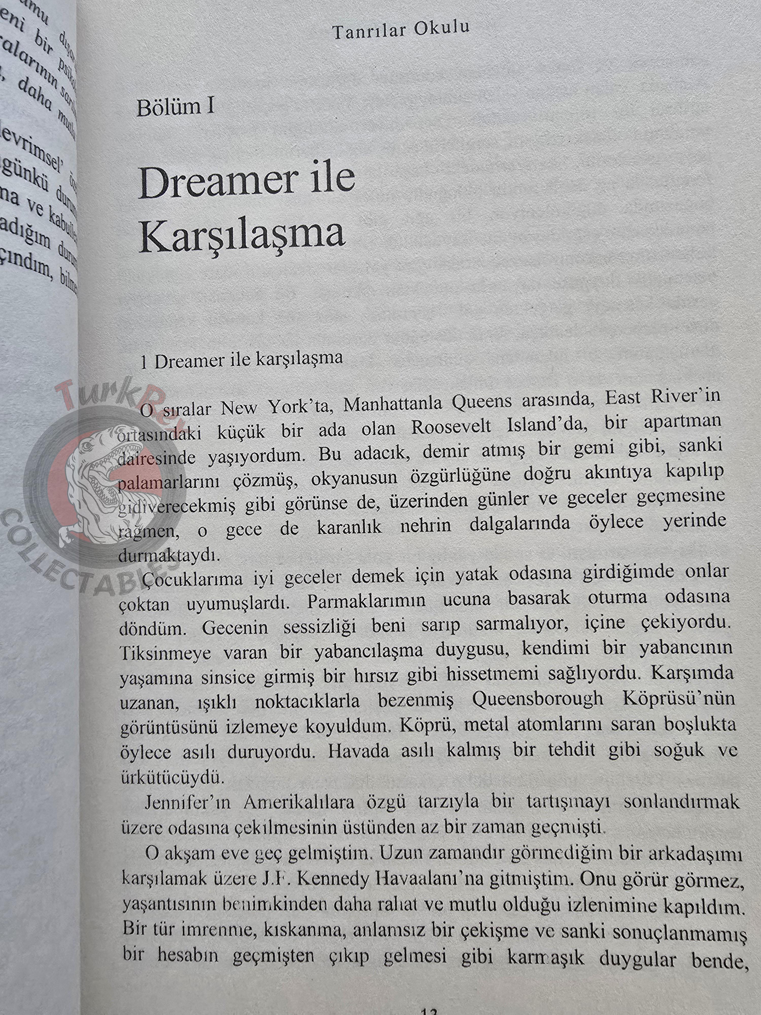 Stefano Elio D'Anna – The School for Gods 2009 Turkish Book Turkey