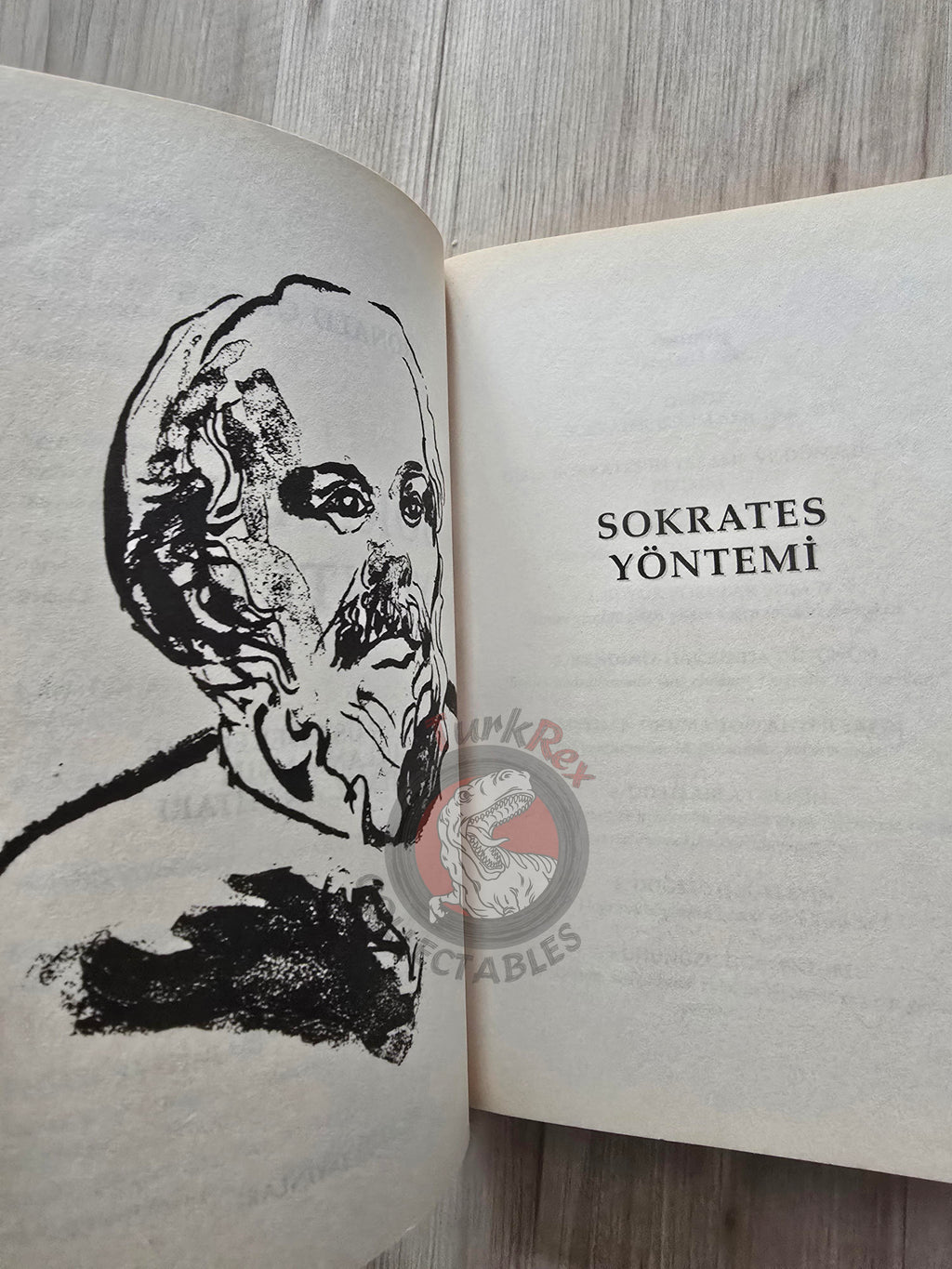 Ronald Gross – The Socrates Method 2006 Turkish Book Turkey