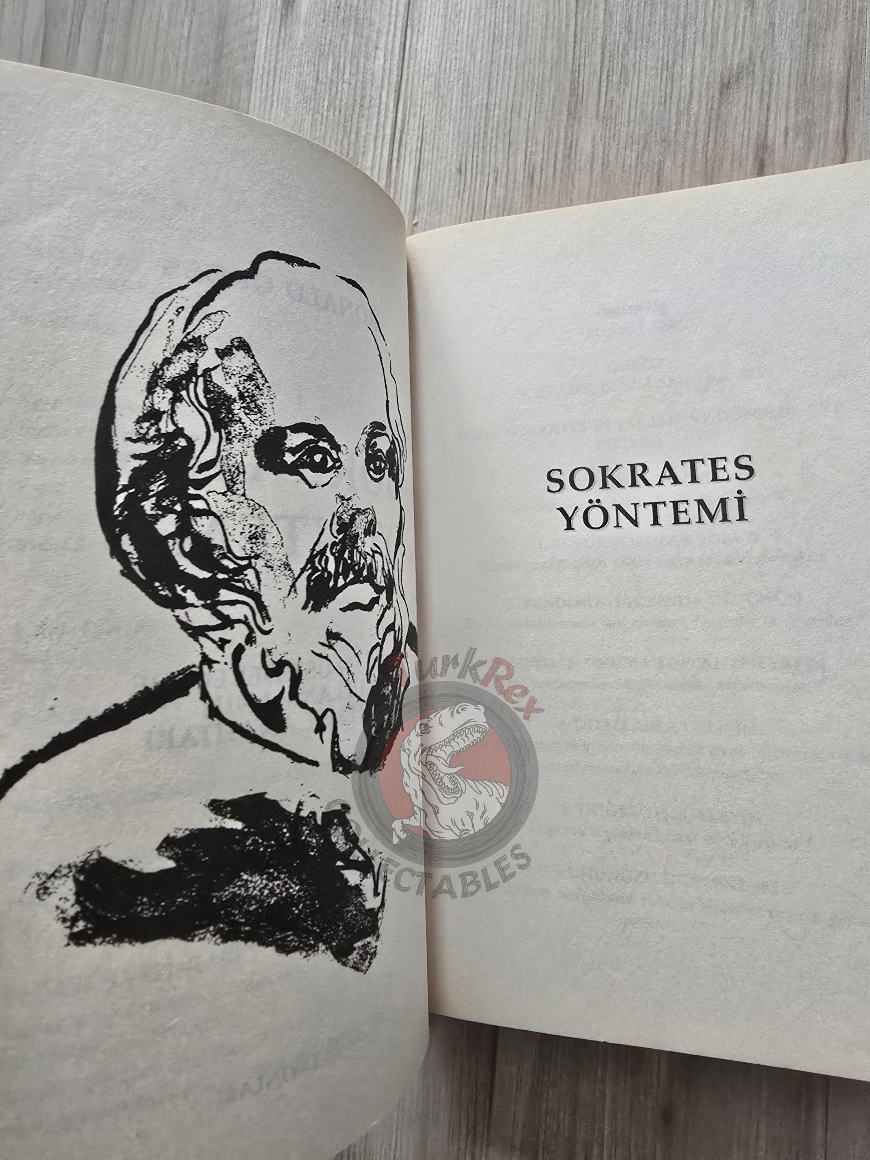 Ronald Gross – The Socrates Method 2006 Turkish Book Turkey