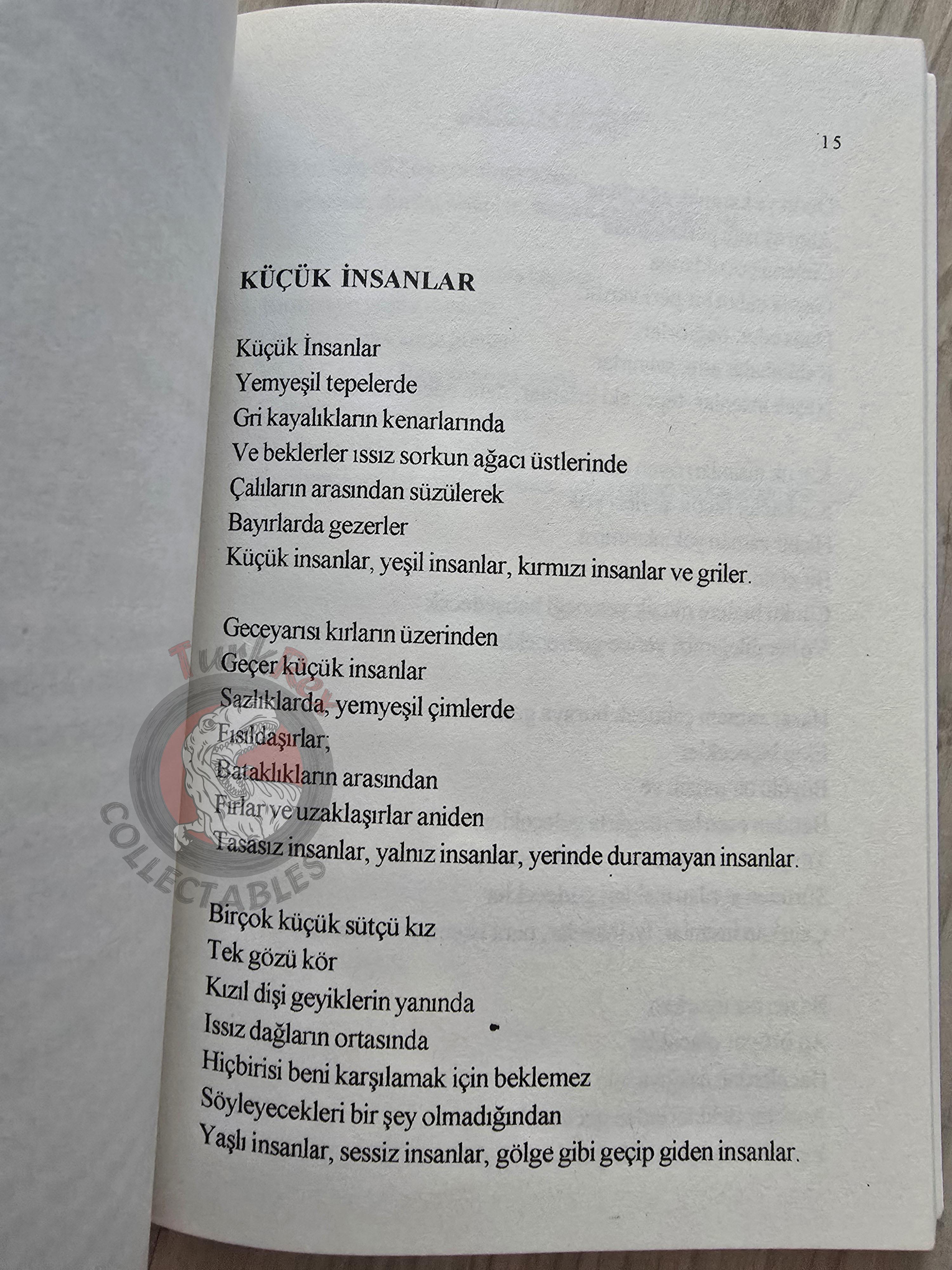 Donald A. Mackenzie – Elves and Heroes 2015 Turkish Book Turkey