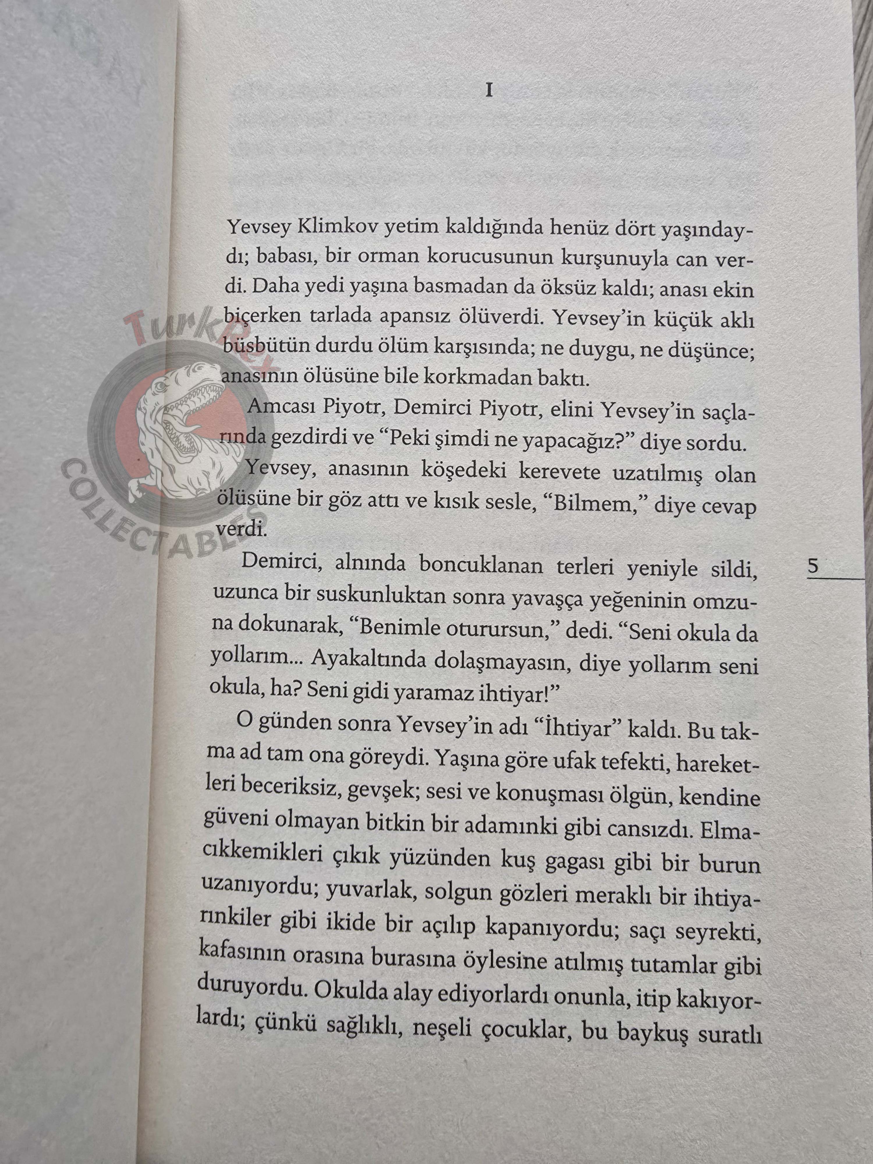 Maxim Gorky – The Life of a Useless Man 2015 Turkish Book Turkey