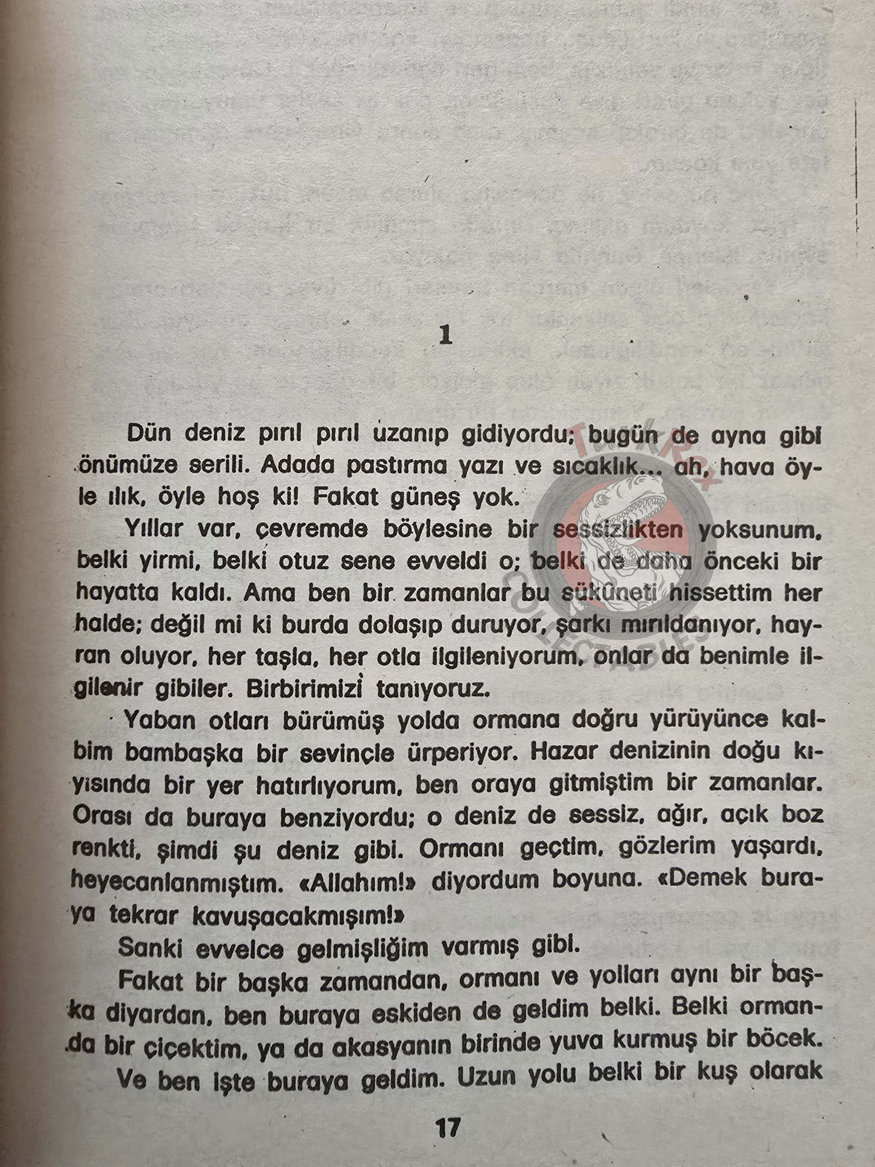 Knut Hamsun – The Wanderer Trilogy Turkish Book Turkey