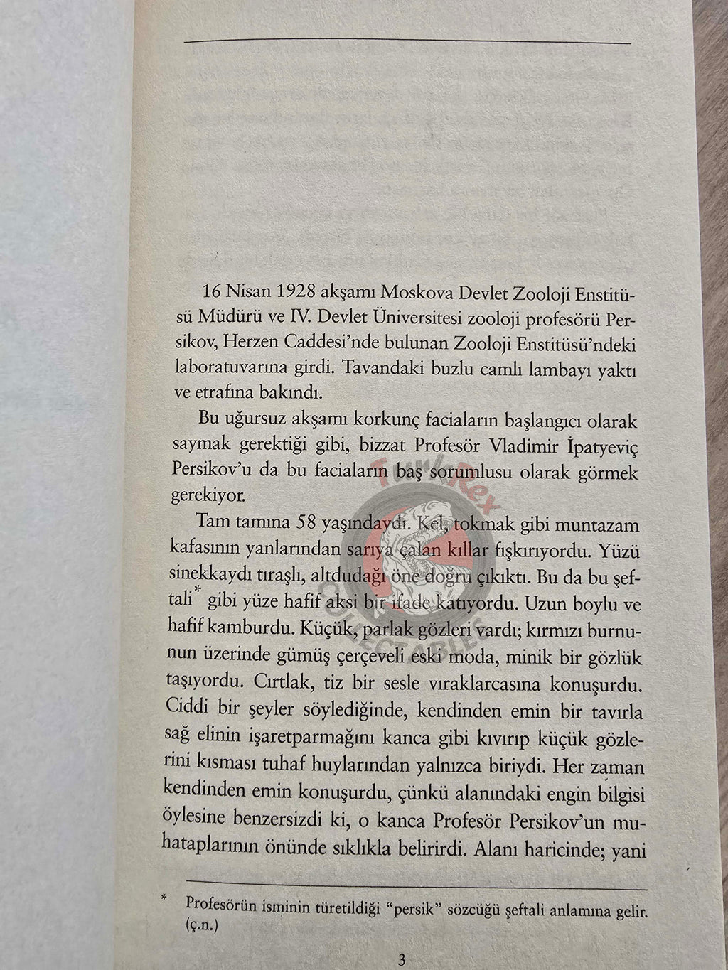 Mikhail Bulgakov – The Fatal Eggs 2019 Turkish Book Turkey