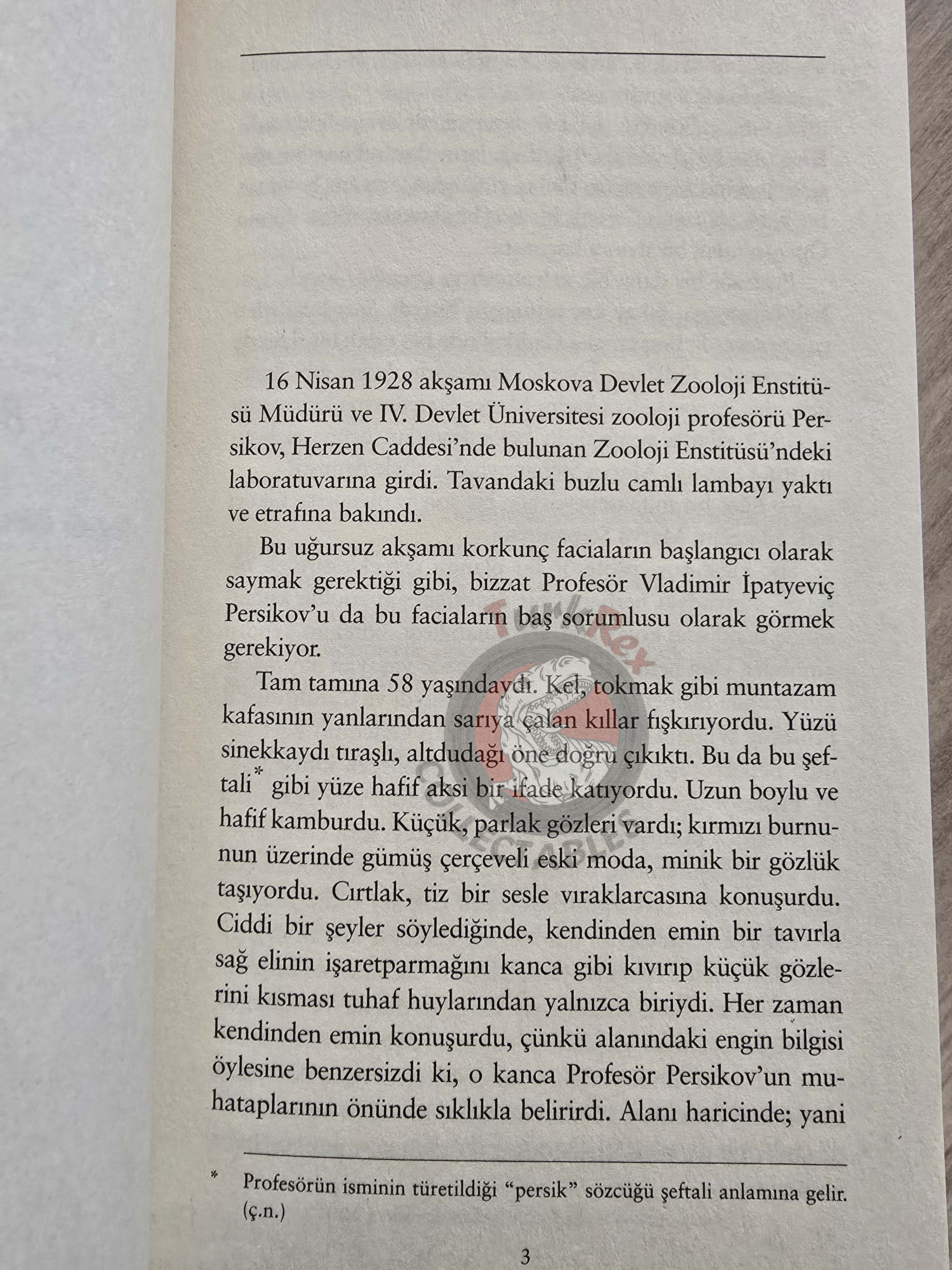 Mikhail Bulgakov – The Fatal Eggs 2019 Turkish Book Turkey