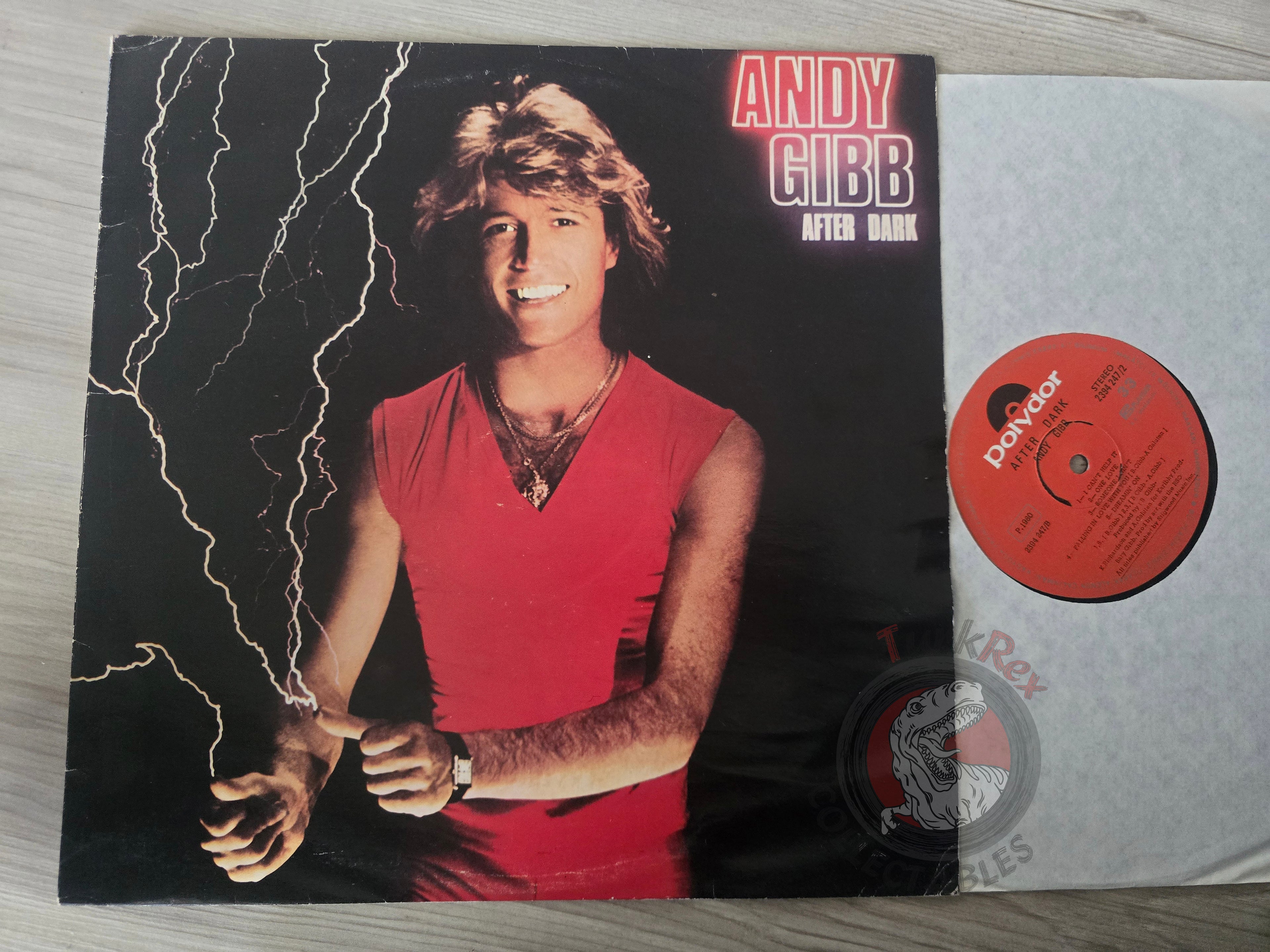 Andy Gibb – After Dark Turkish Pressing Vinyl Turkey Edition