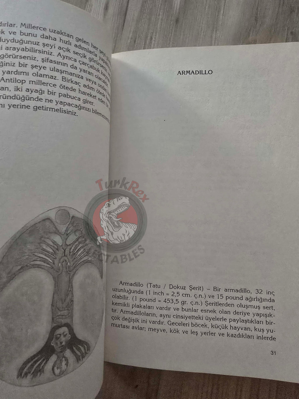 Gary Buffalo & Sherry Firedancer – Animal Energies: Interpreting 2007 Turkish Book Turkey