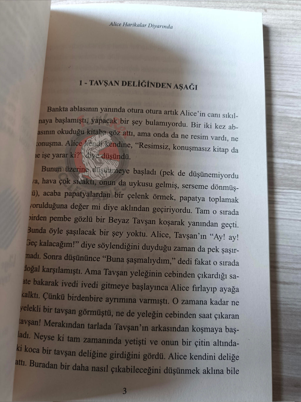 Lewis Carroll – Alice in Wonderland 2011 Turkish Book Turkey 2