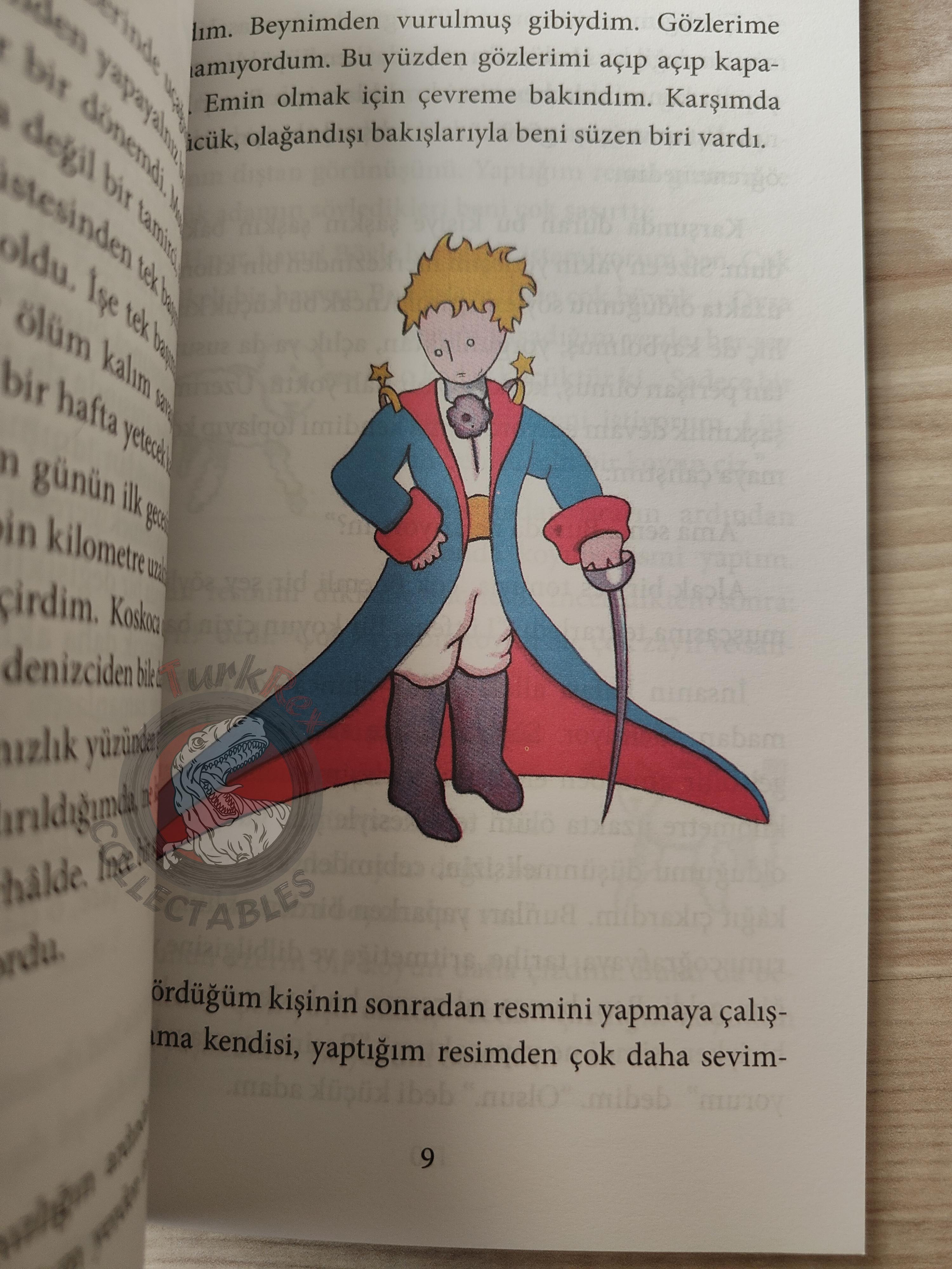 Antoine de Saint-Exupéry – Le Petit Prince 2015 Turkish Book Turkey Illustrated Little 6