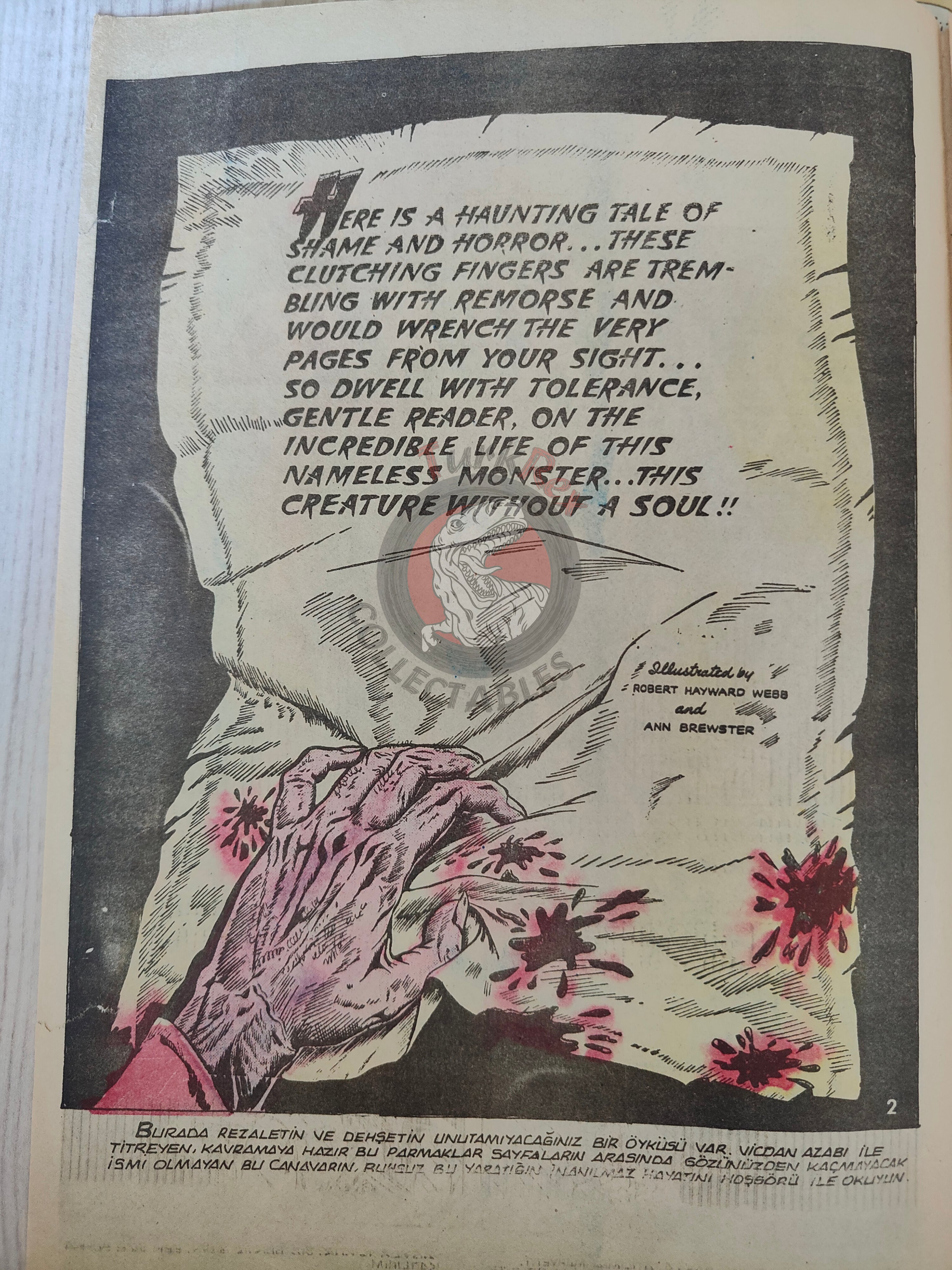 Frankenstein  – Mary Shelley Turkish Comic Turkey Classics Illustrated