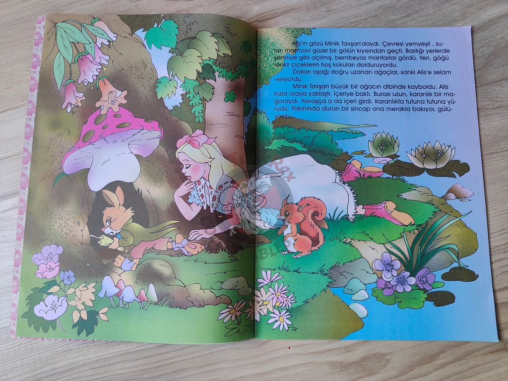Lewis Carroll – Alice in Wonderland 2000s Turkish Book Turkey Illustrated 1