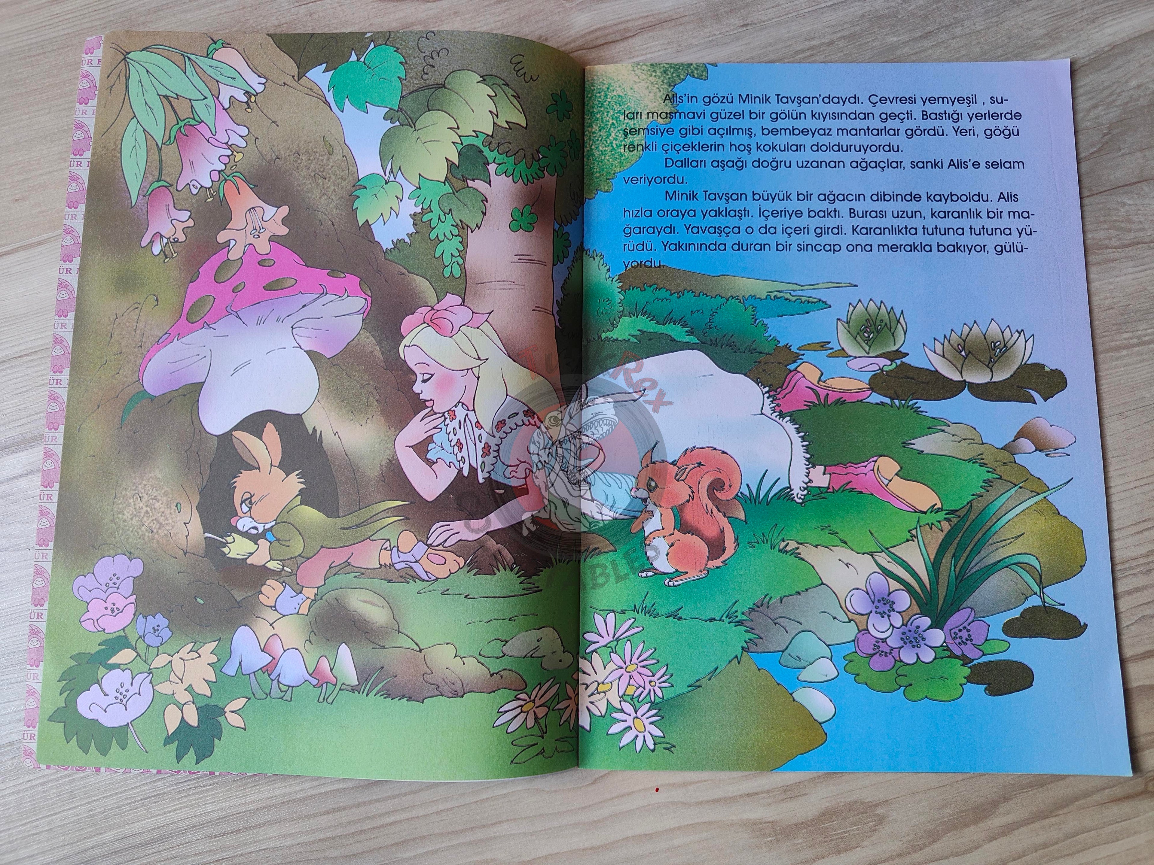 Lewis Carroll – Alice in Wonderland 2000s Turkish Book Turkey Illustrated 1