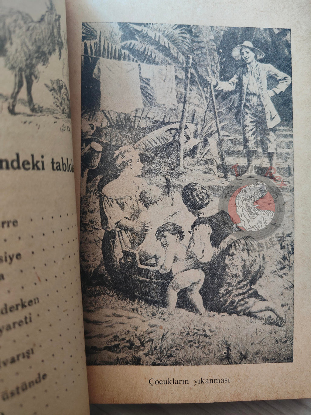 Bernardin de Saint-Pierre – Paul et Virginie 1940s Turkish Book Turkey Illustrated Tony Johannot