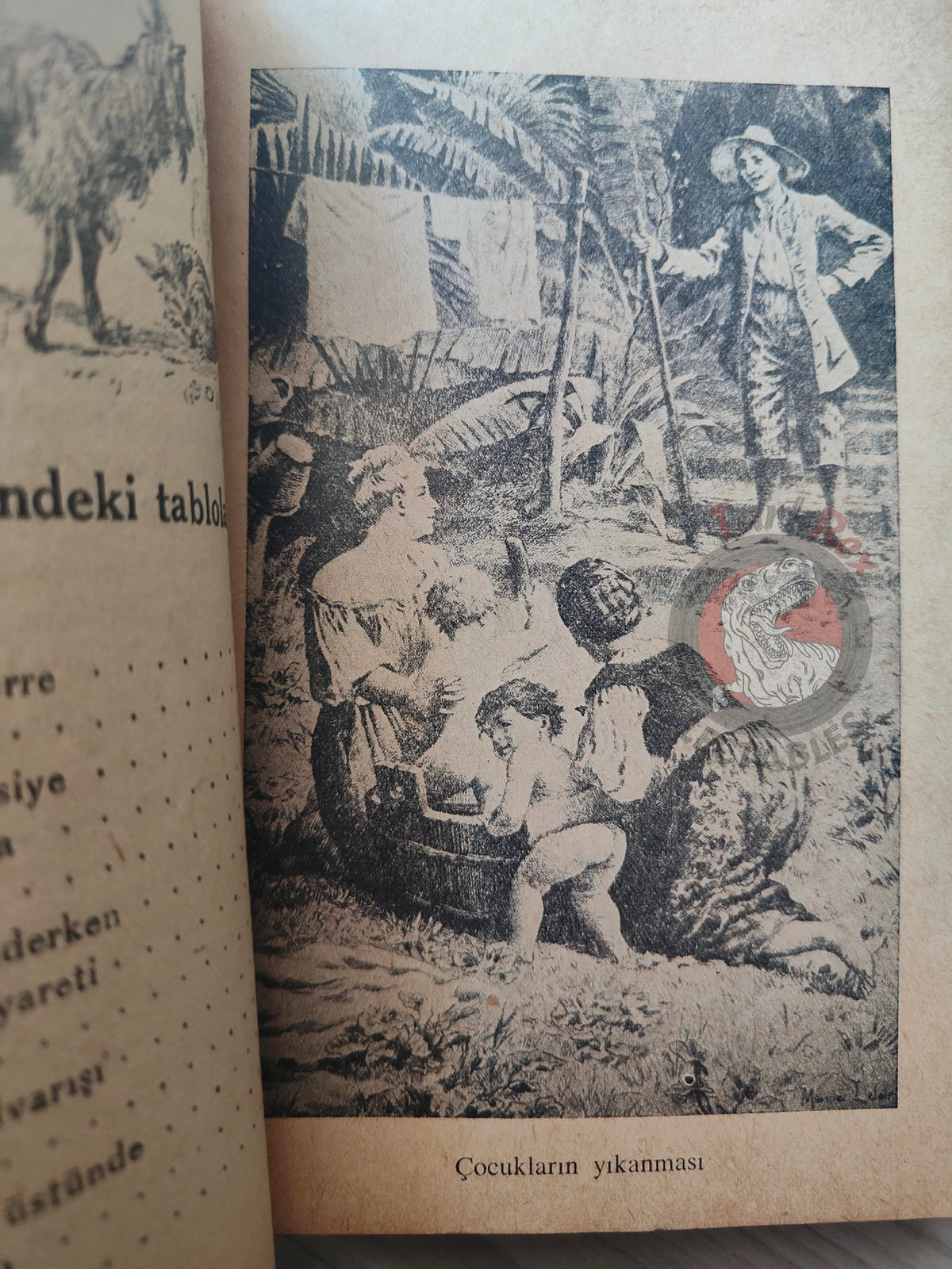Bernardin de Saint-Pierre – Paul et Virginie 1940s Turkish Book Turkey Illustrated Tony Johannot