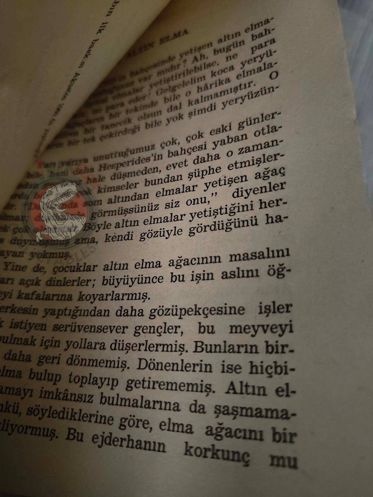 Nathaniel Hawthorne – A Wonderbook for Girls and Boys 1964 Turkish Book Turkey Illustrated