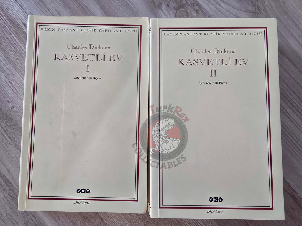 Charles Dickens – Bleak House 2008 Turkish Book Turkey