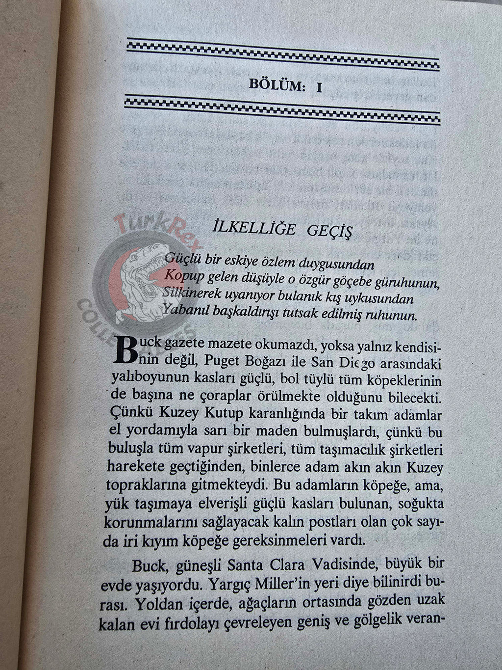 Jack London – The Call of the Wild 1996 Turkish Book Turkey Illustrated