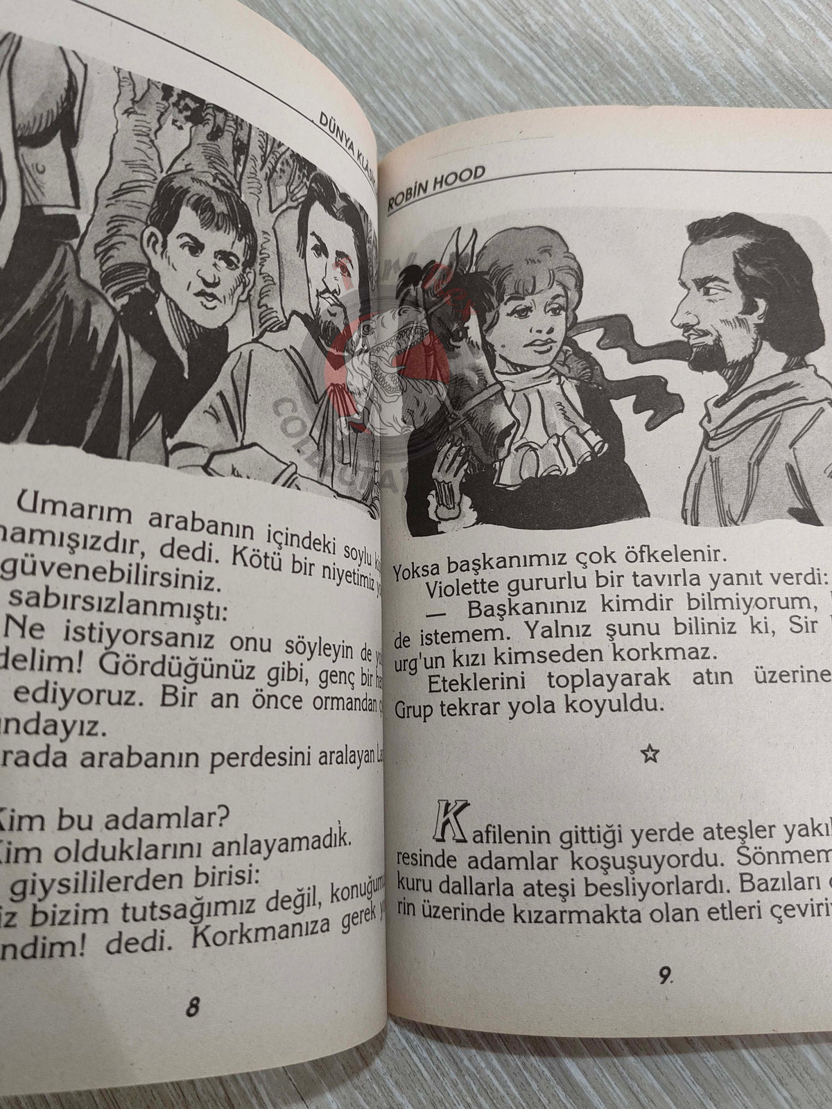 Robin Hood – Howard Pyle 1998 Turkish Book Turkey Illustrated