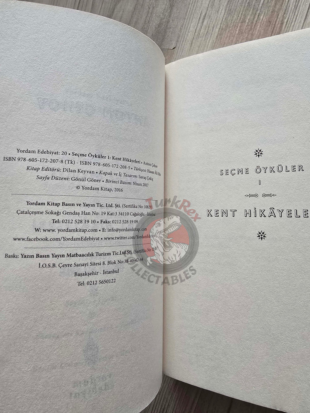Anton Chekhov – Selected Stories: Tales of City Life 2017 Turkish Book Turkey