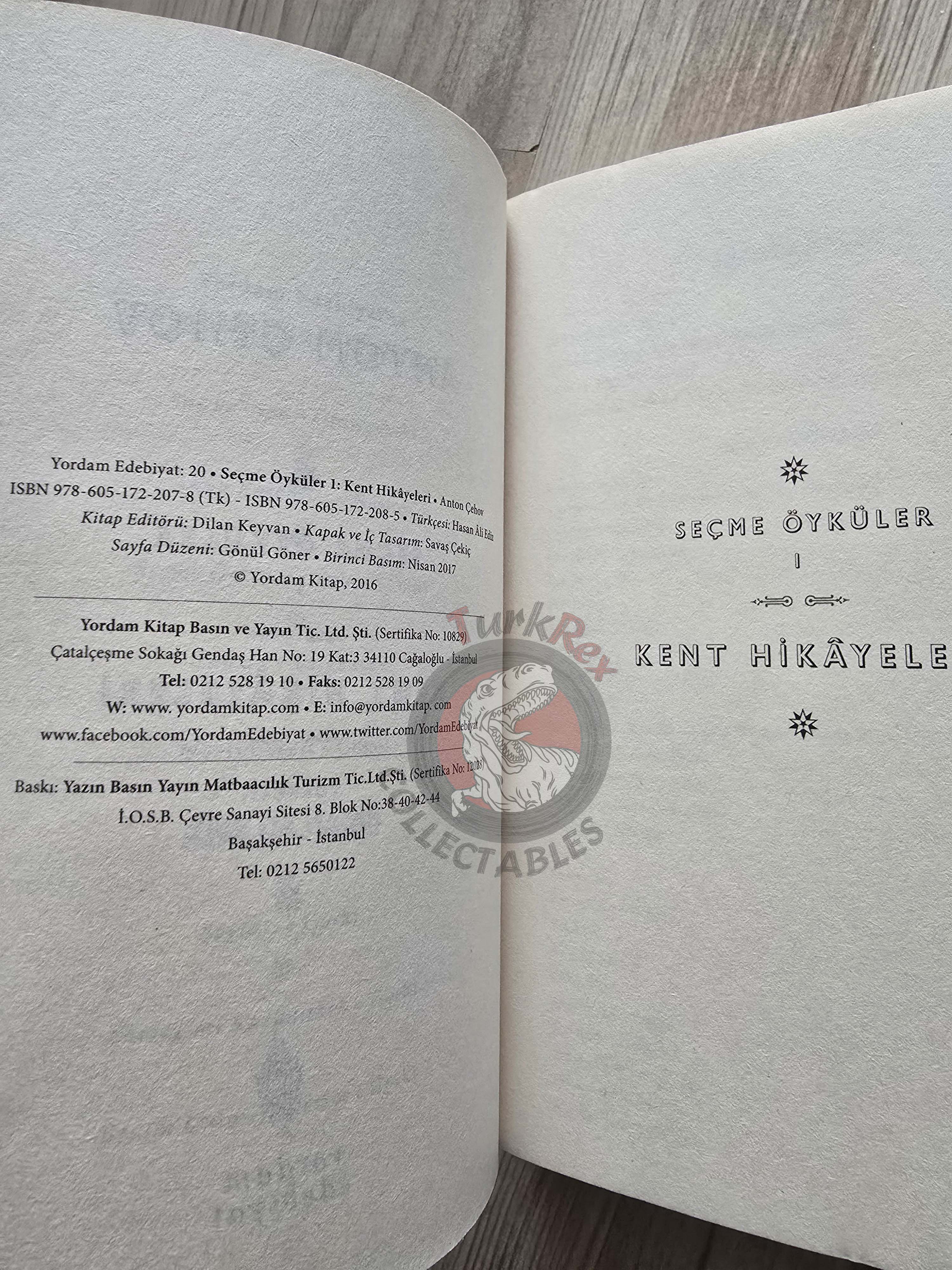 Anton Chekhov – Selected Stories: Tales of City Life 2017 Turkish Book Turkey