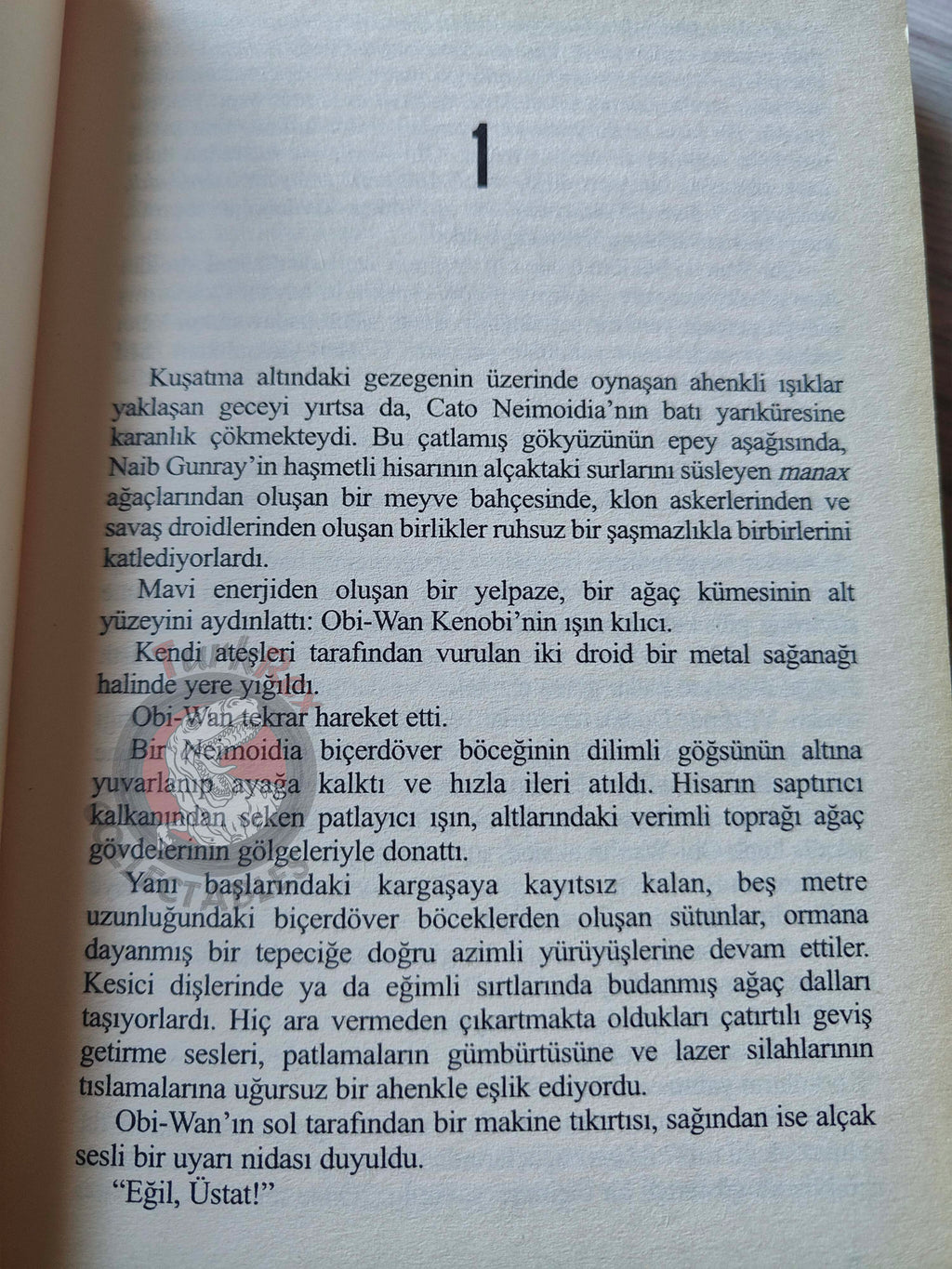 James Luceno – Star Wars: Labyrinth of Evil 2005 1st Turkish Book Turkey