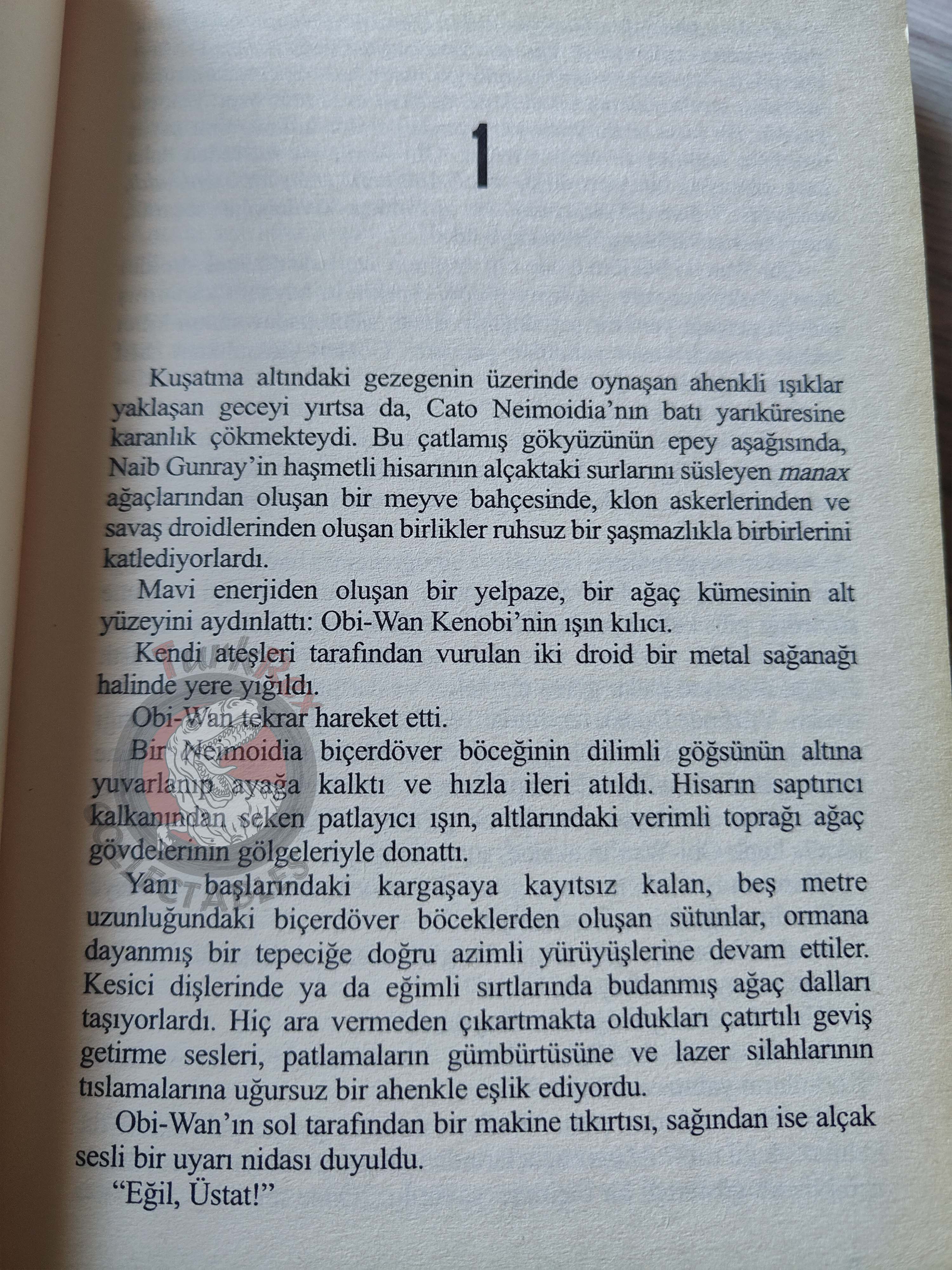 James Luceno – Star Wars: Labyrinth of Evil 2005 1st Turkish Book Turkey