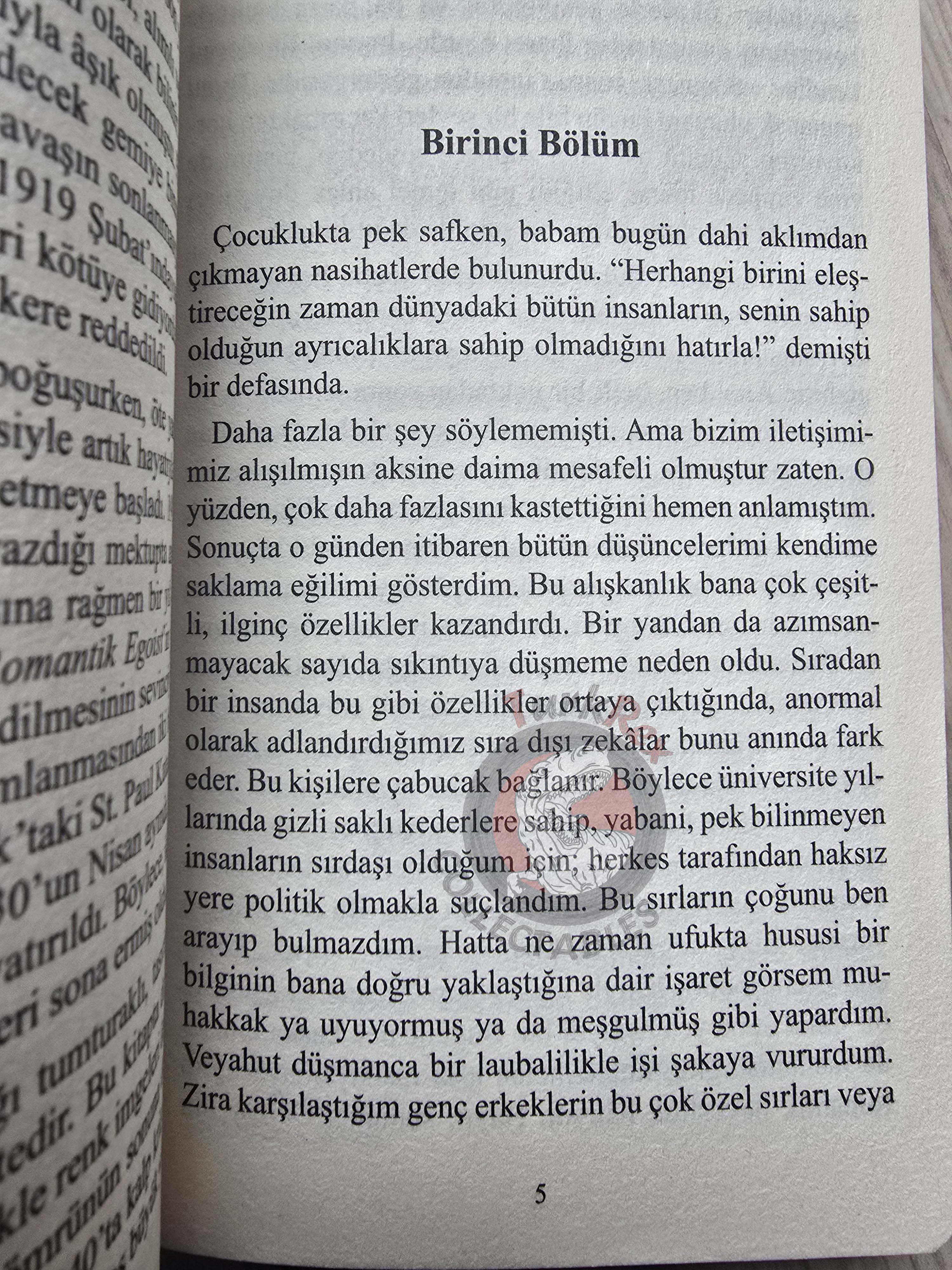 F. Scott Fitzgerald  – The Great Gatsby 2019 Turkish Book Turkey