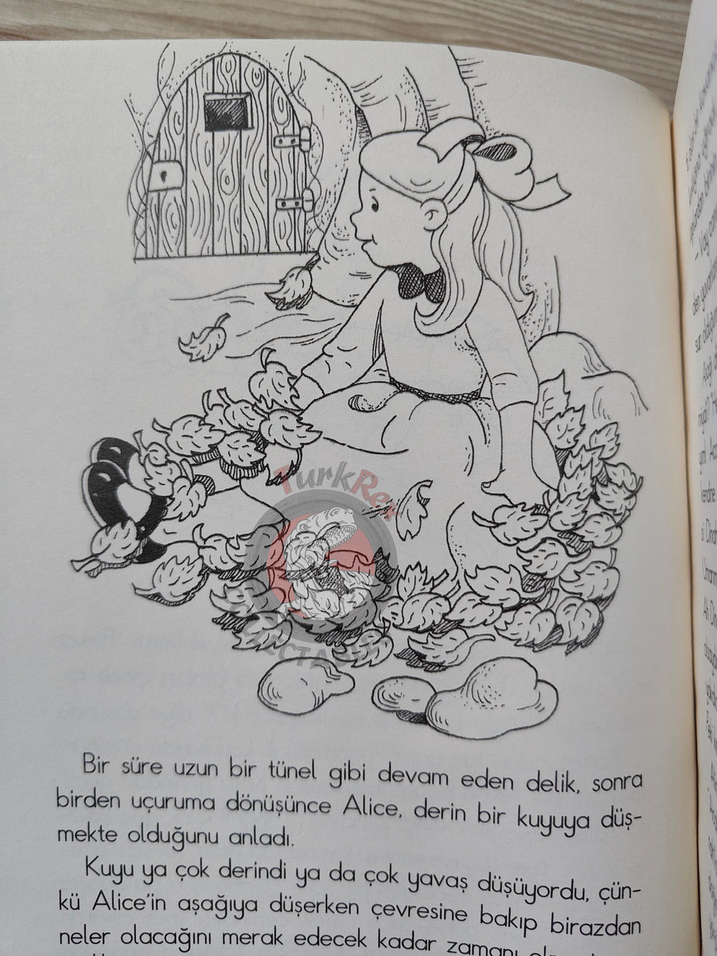 Lewis Carroll – Alice in Wonderland 2009 Turkish Book Turkey Illustrated