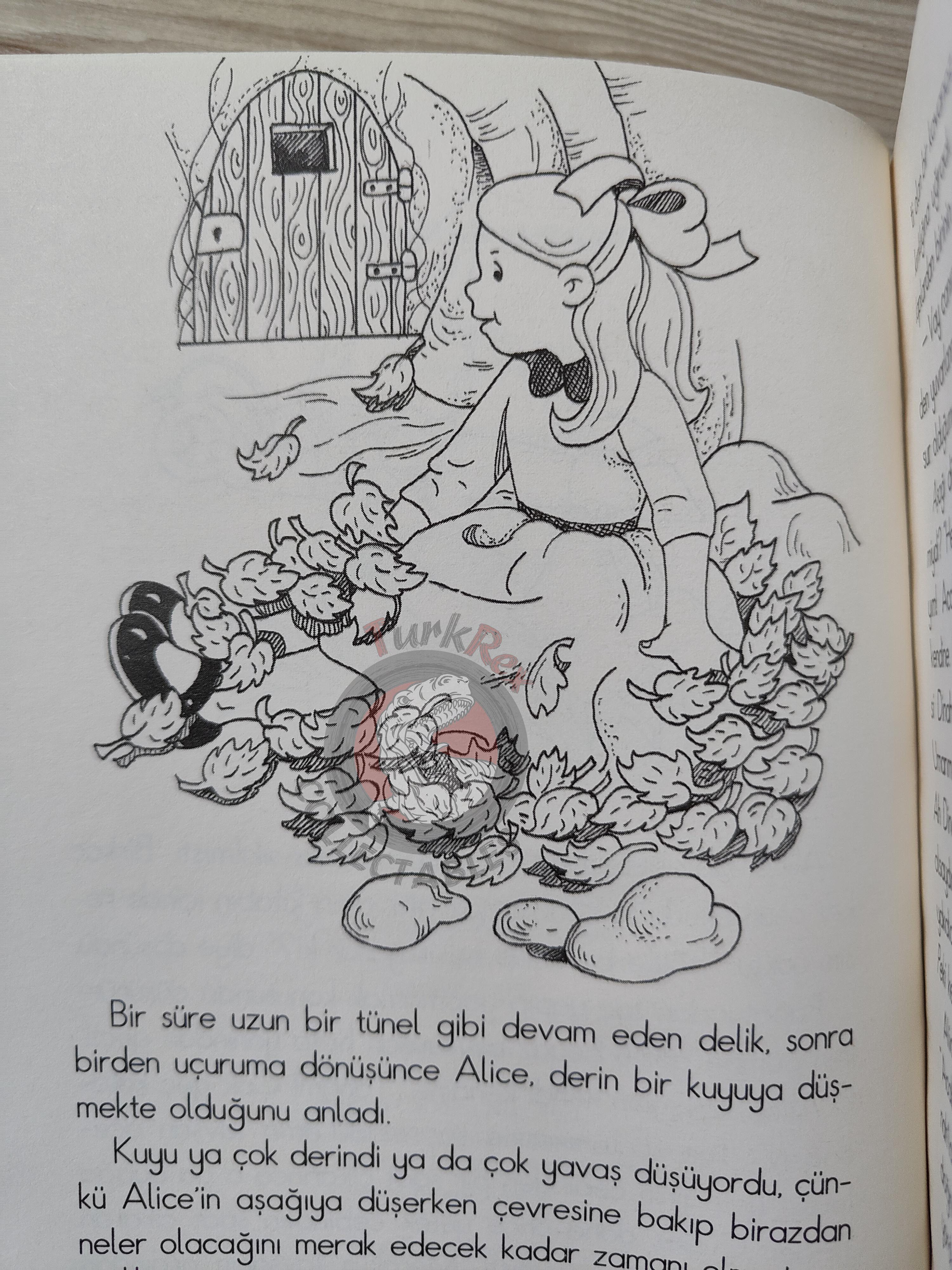 Lewis Carroll – Alice in Wonderland 2009 Turkish Book Turkey Illustrated