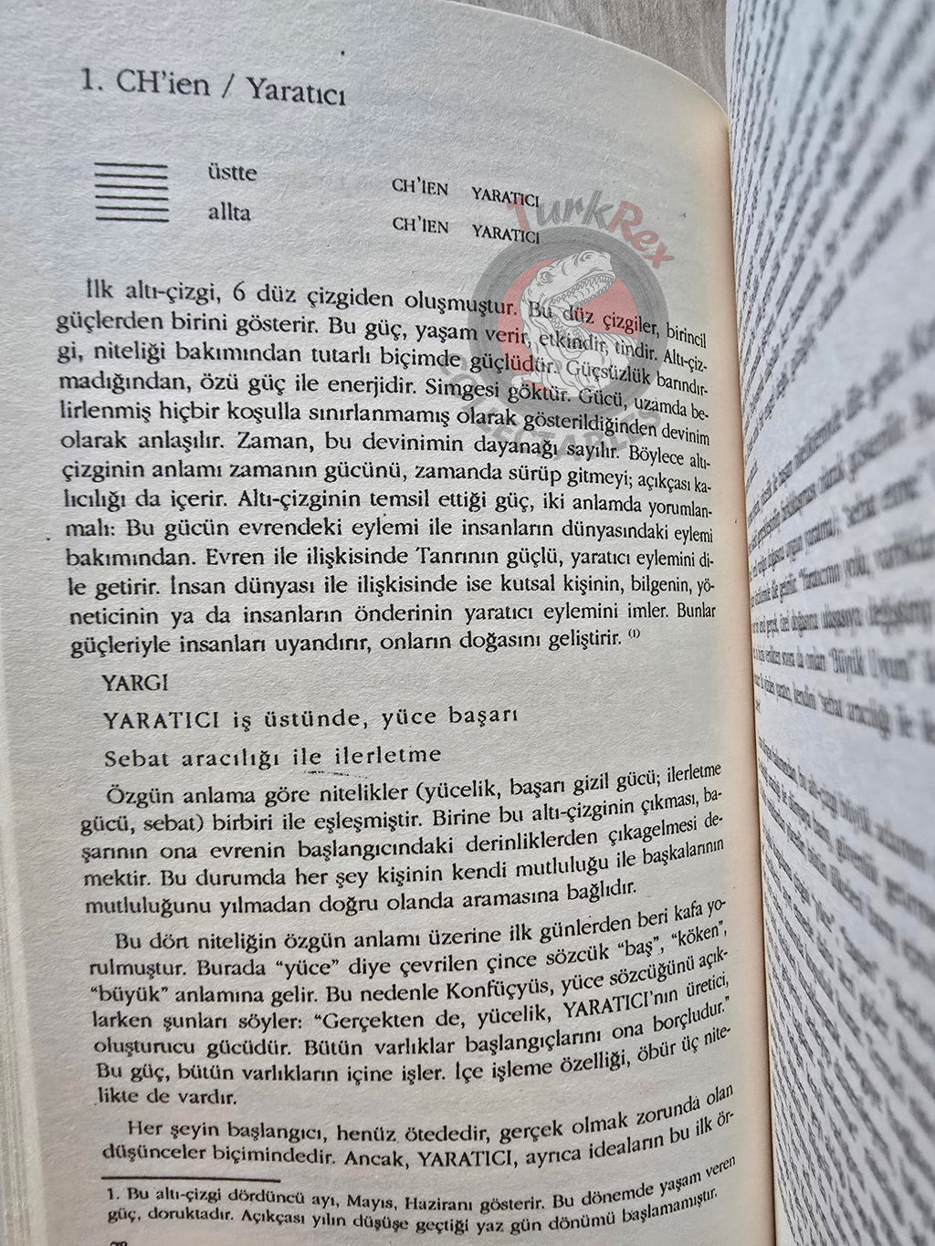 Richard Wilhelm – I Ching, or Book of Changes 2017 Turkish Book Turkey