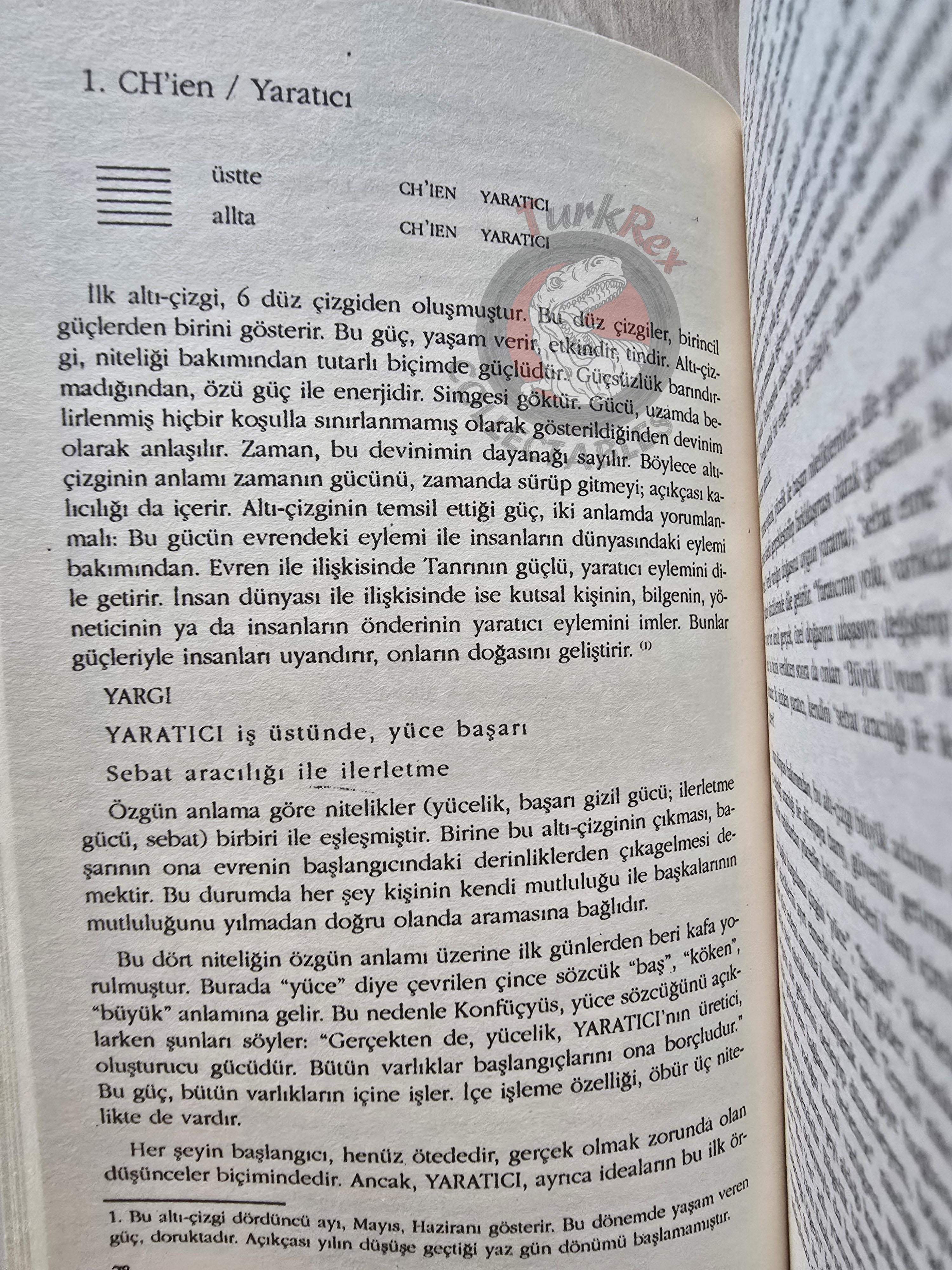 Richard Wilhelm – I Ching, or Book of Changes 2017 Turkish Book Turkey