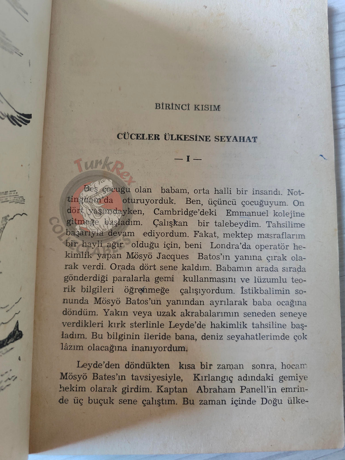 Jonathan Swift – Gulliver's Travels 1966 Turkish Book Turkey Illustrated Henri Iselin