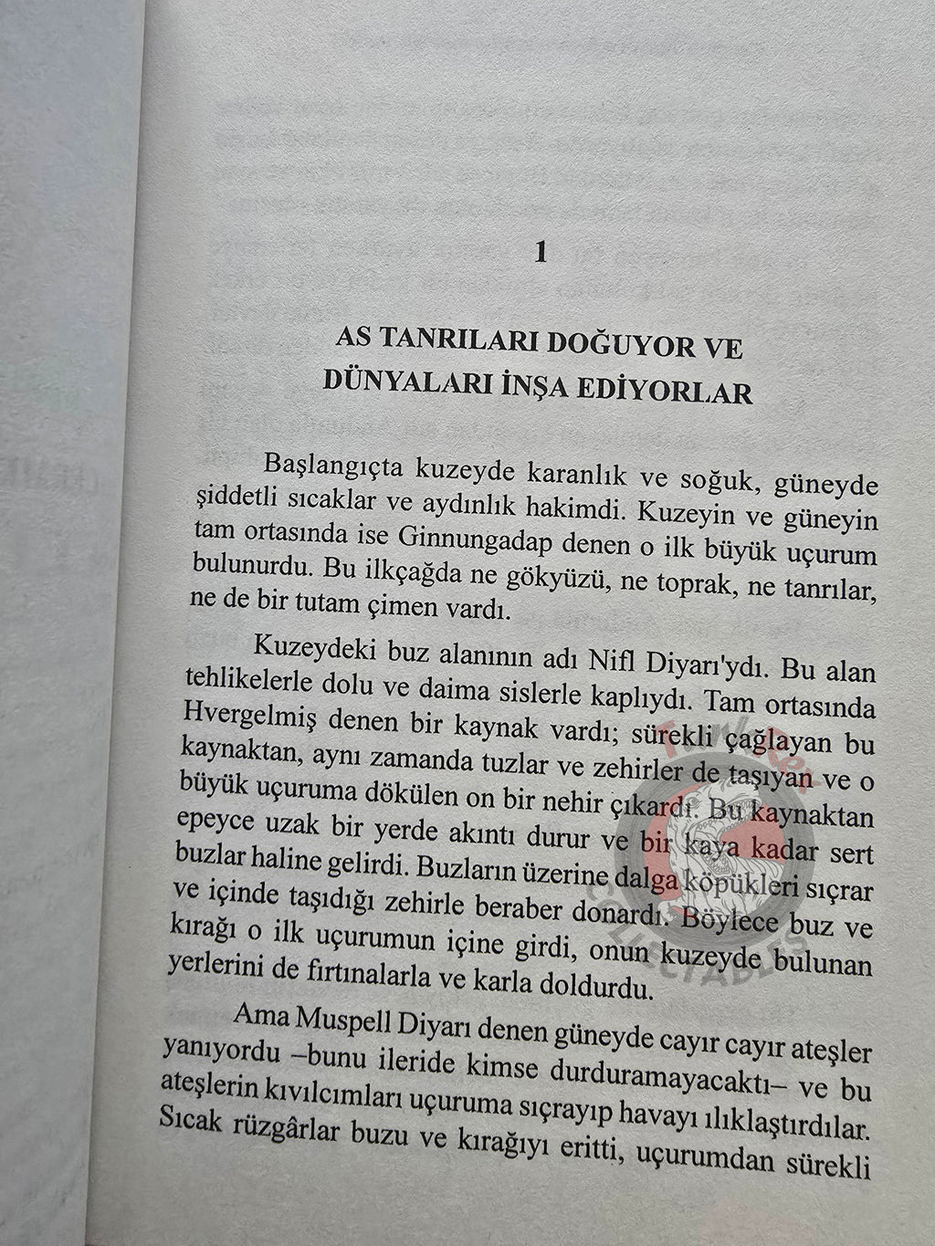 Riner Tetzner – Germanic Myths and Legends 2010 Turkish Book Turkey