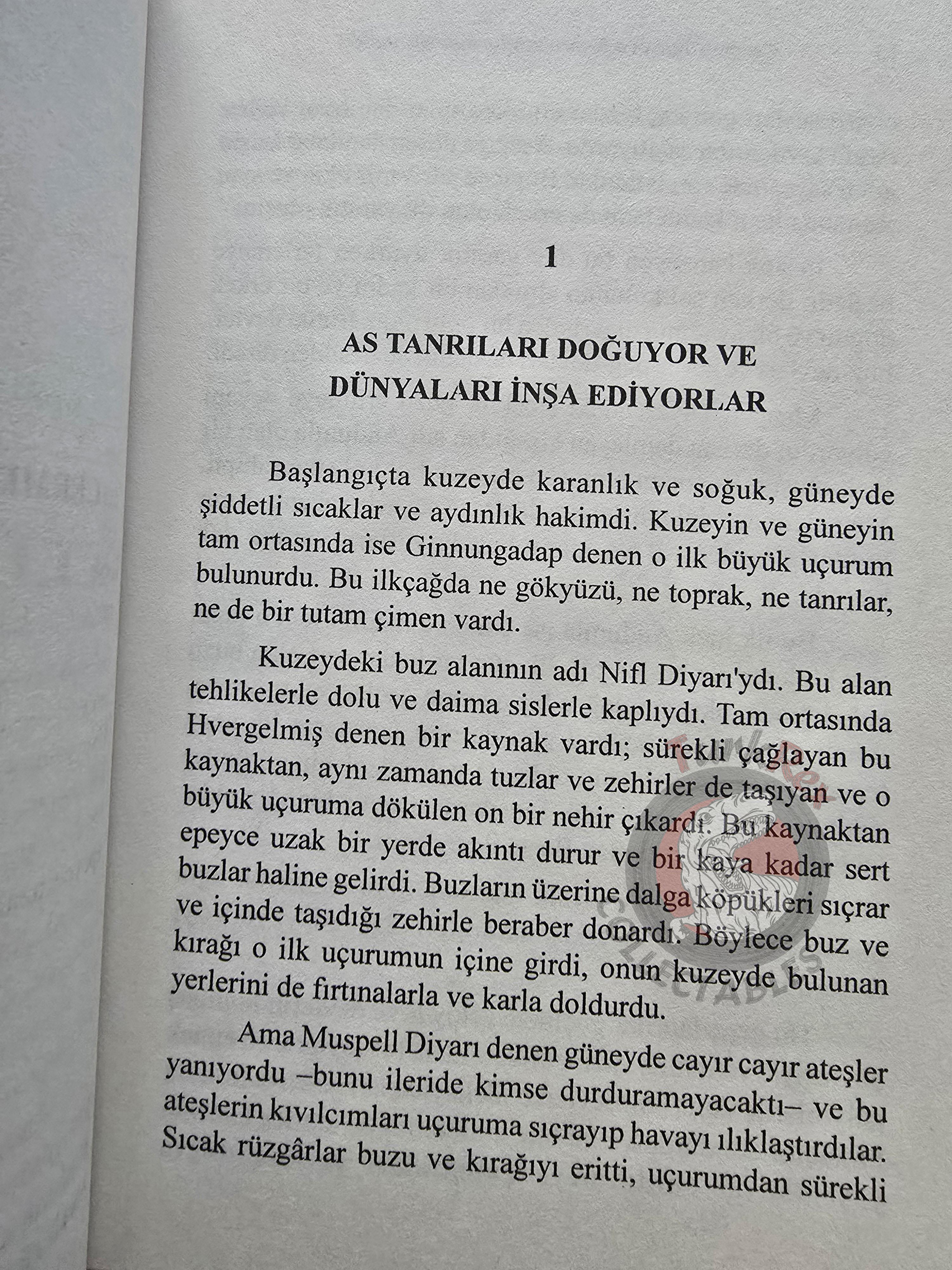 Riner Tetzner – Germanic Myths and Legends 2010 Turkish Book Turkey