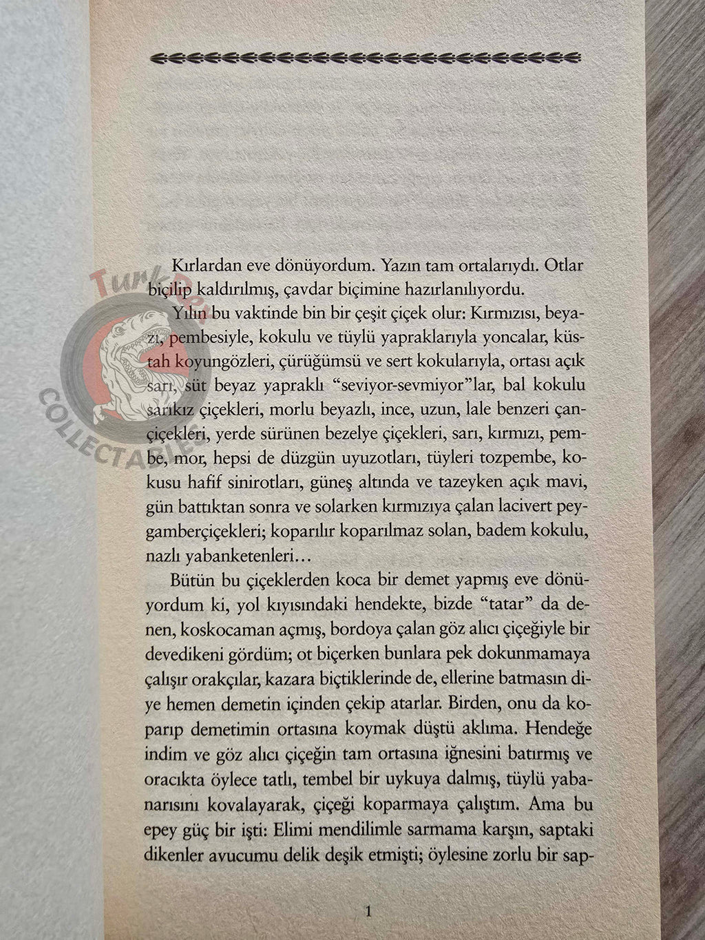 Leo Tolstoy – Hadji Murat 2008 Turkish Book Turkey